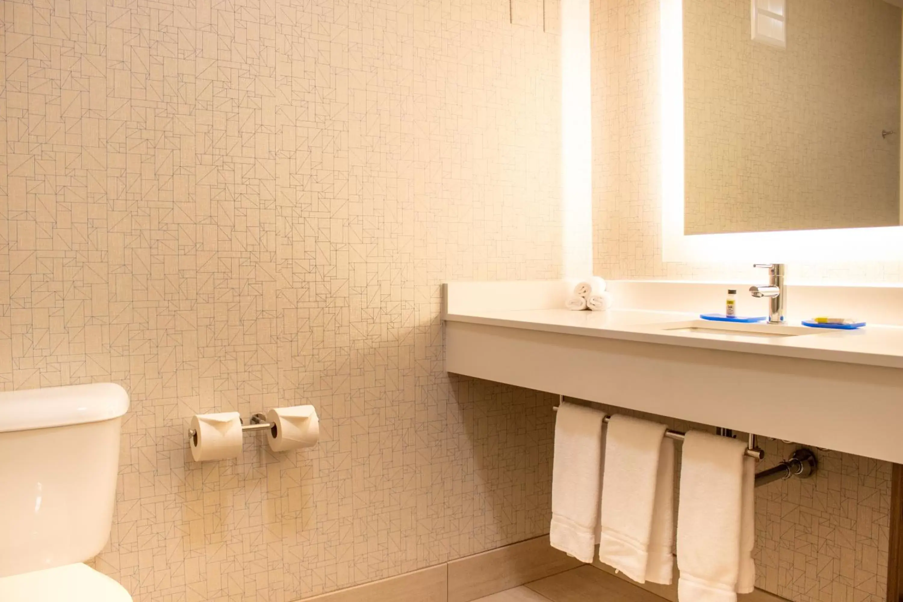 Bathroom in Holiday Inn Express & Suites Wausau, an IHG Hotel