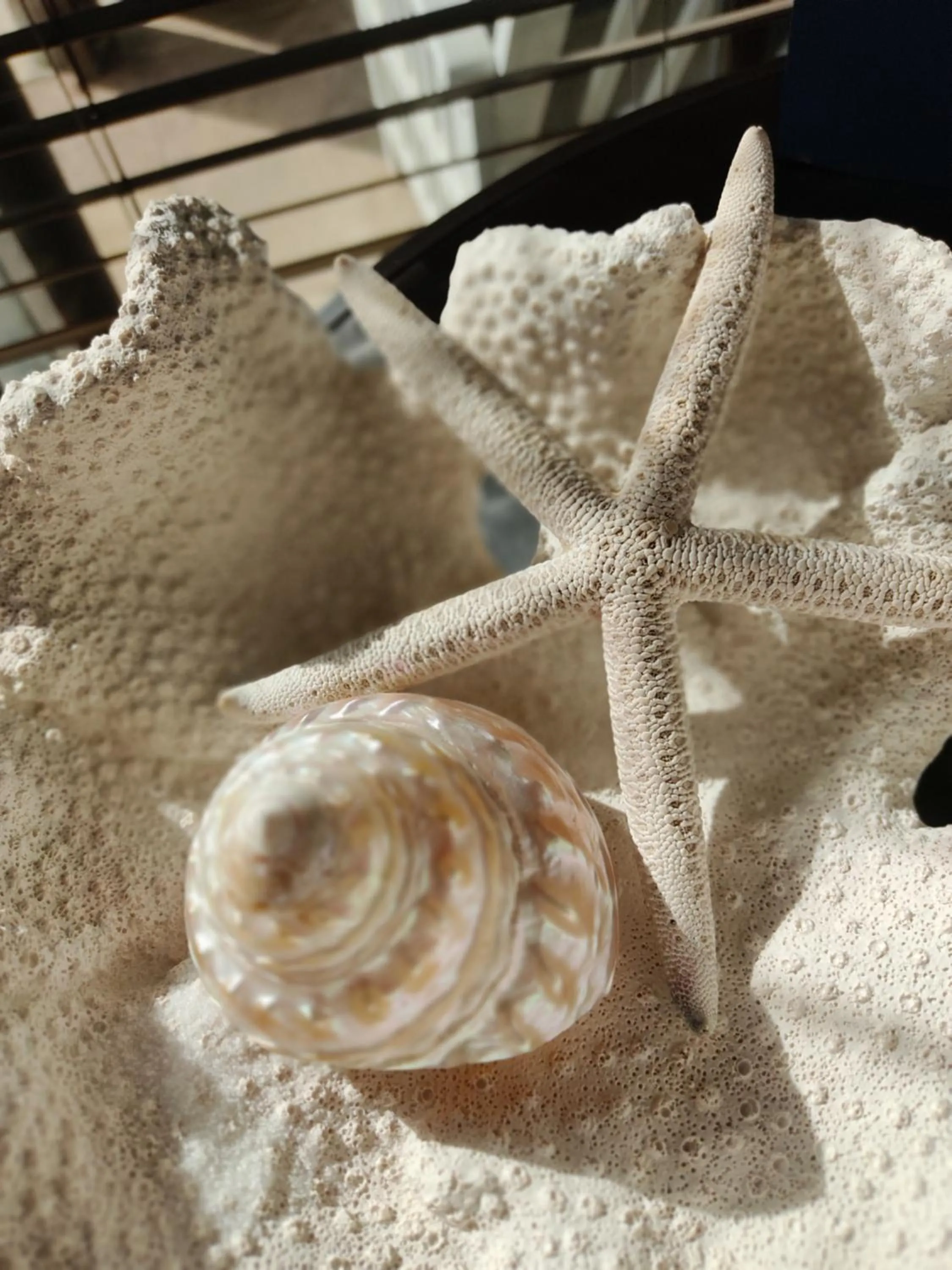 Palm Beach Guesthouse