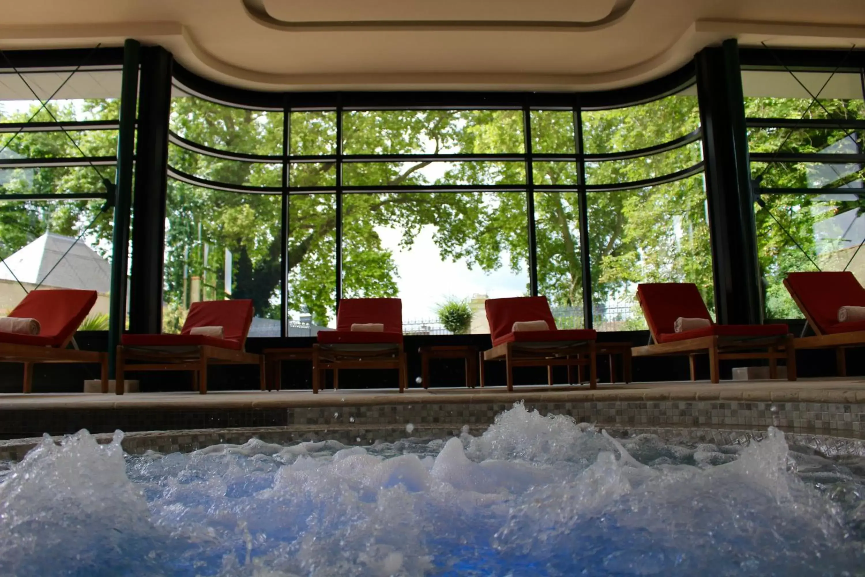 Hot Tub, Swimming Pool in Chateau du Clos de la Ribaudiere