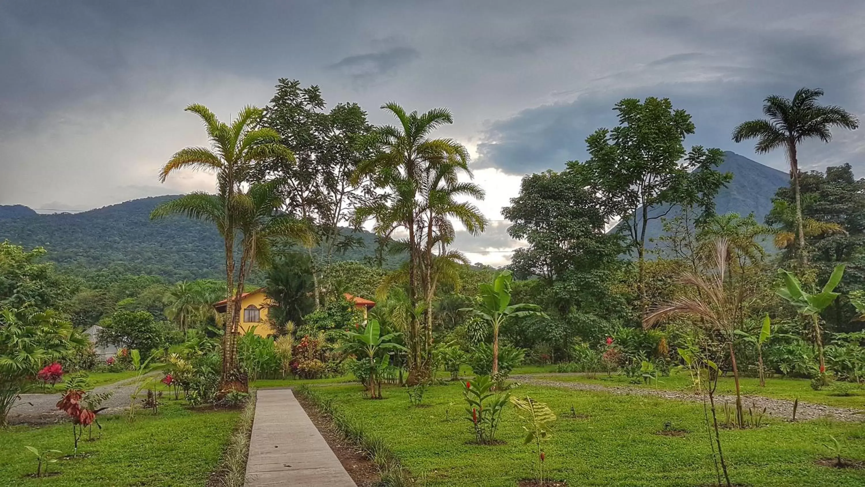 Mountain view, Garden in Yellow Tree Suites