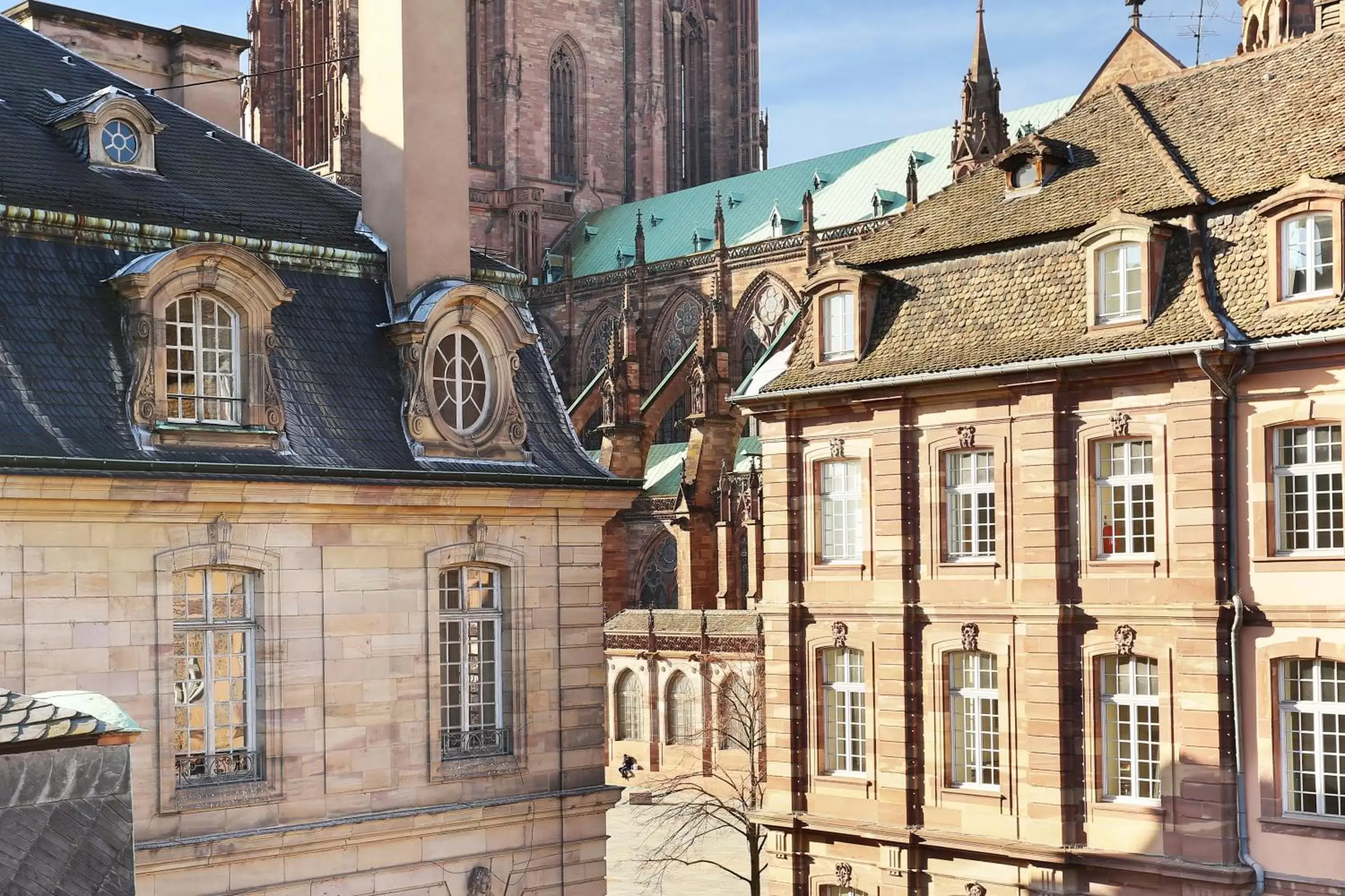 View (from property/room), Neighborhood in Hotel Suisse