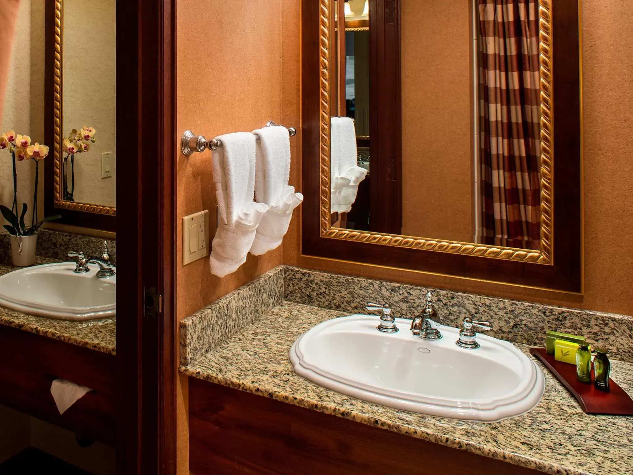 Toilet, Bathroom in Olympic Lodge by Ayres