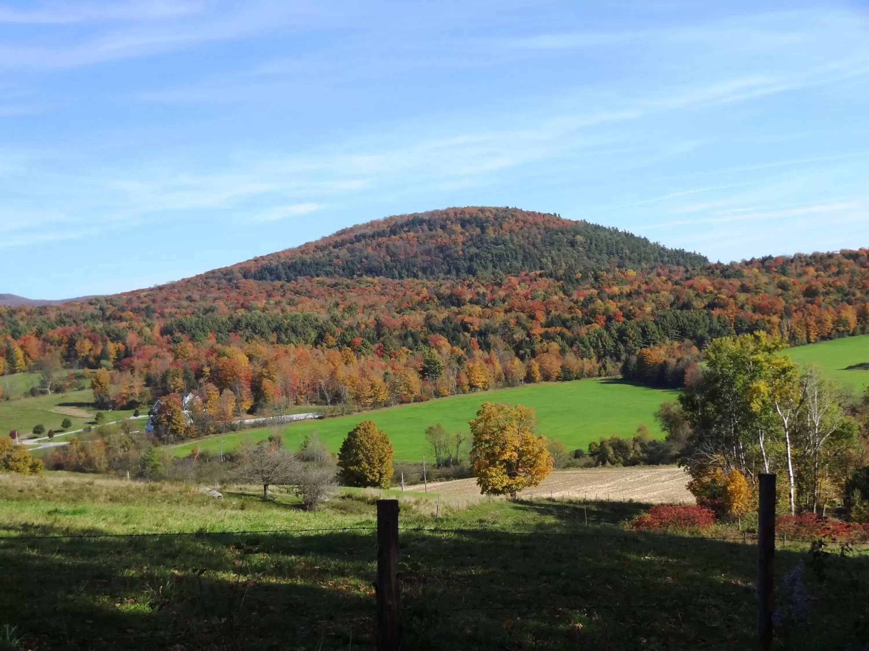 Day in Inn at Buck Hollow Farm