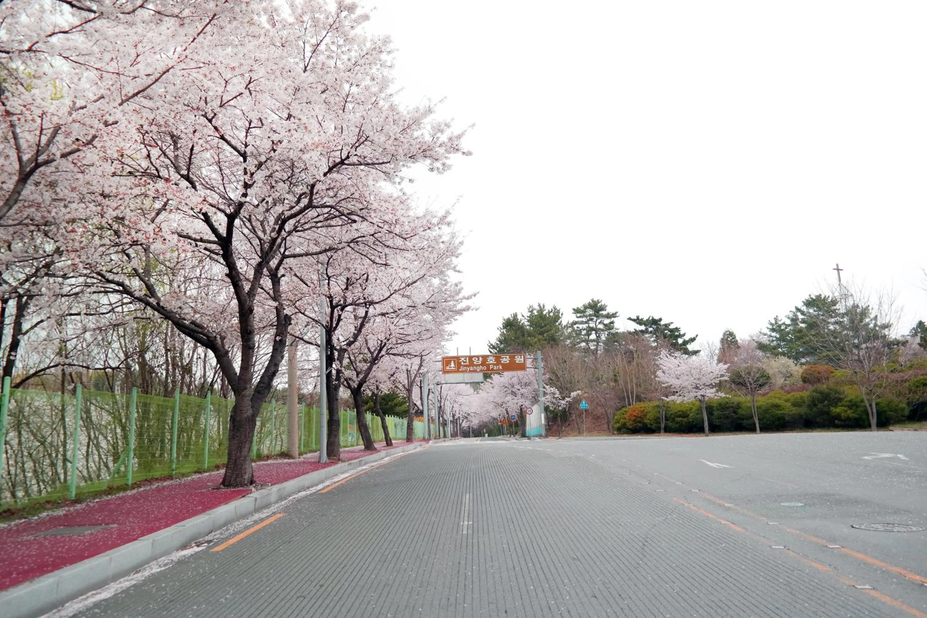 Spring in Asia Lakeside Hotel