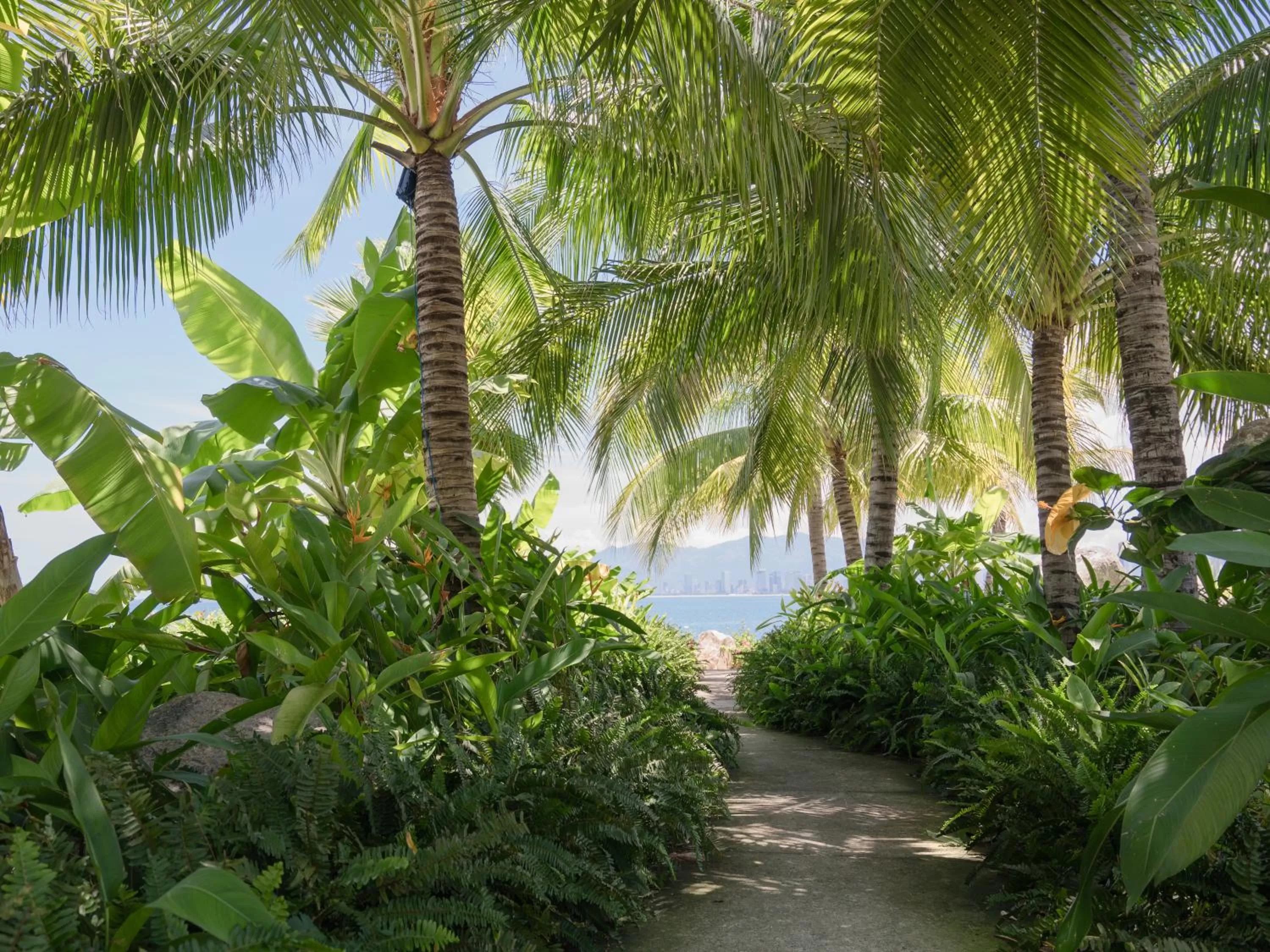 Day in Alibu Resort Nha Trang