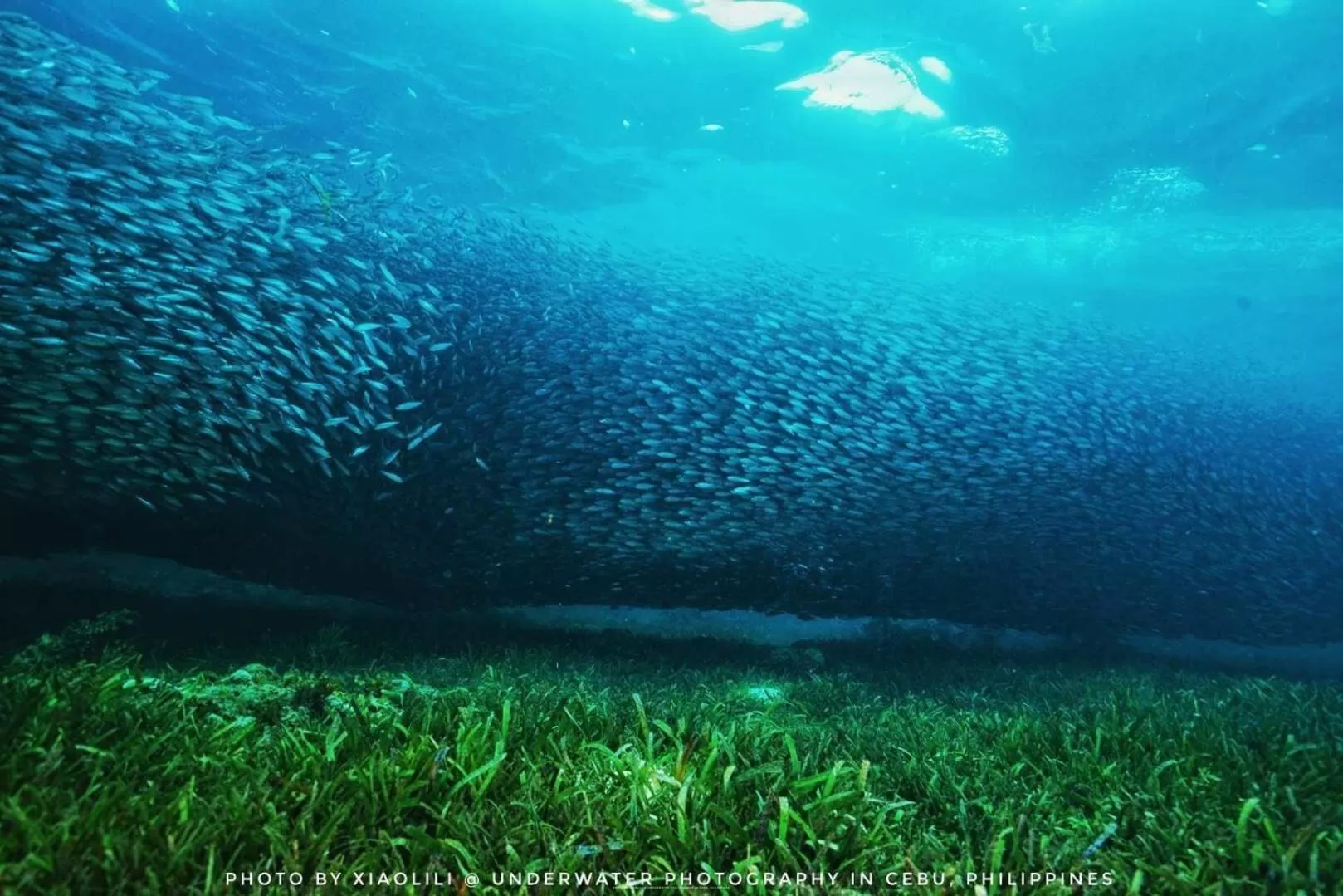 Natural landscape in Sugarsea Inn & Dive shop