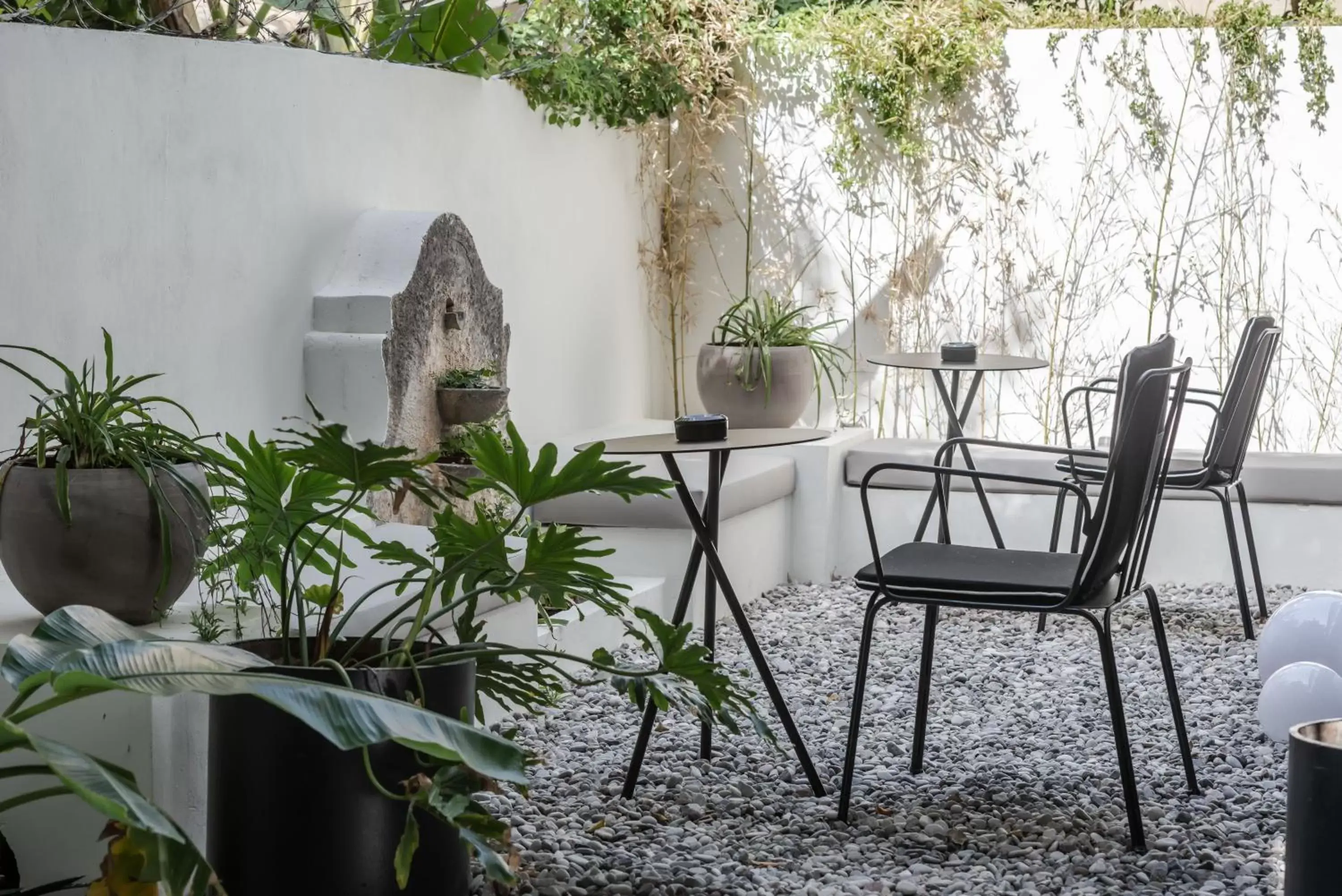 Patio in Bitzaro Boutique Hotel