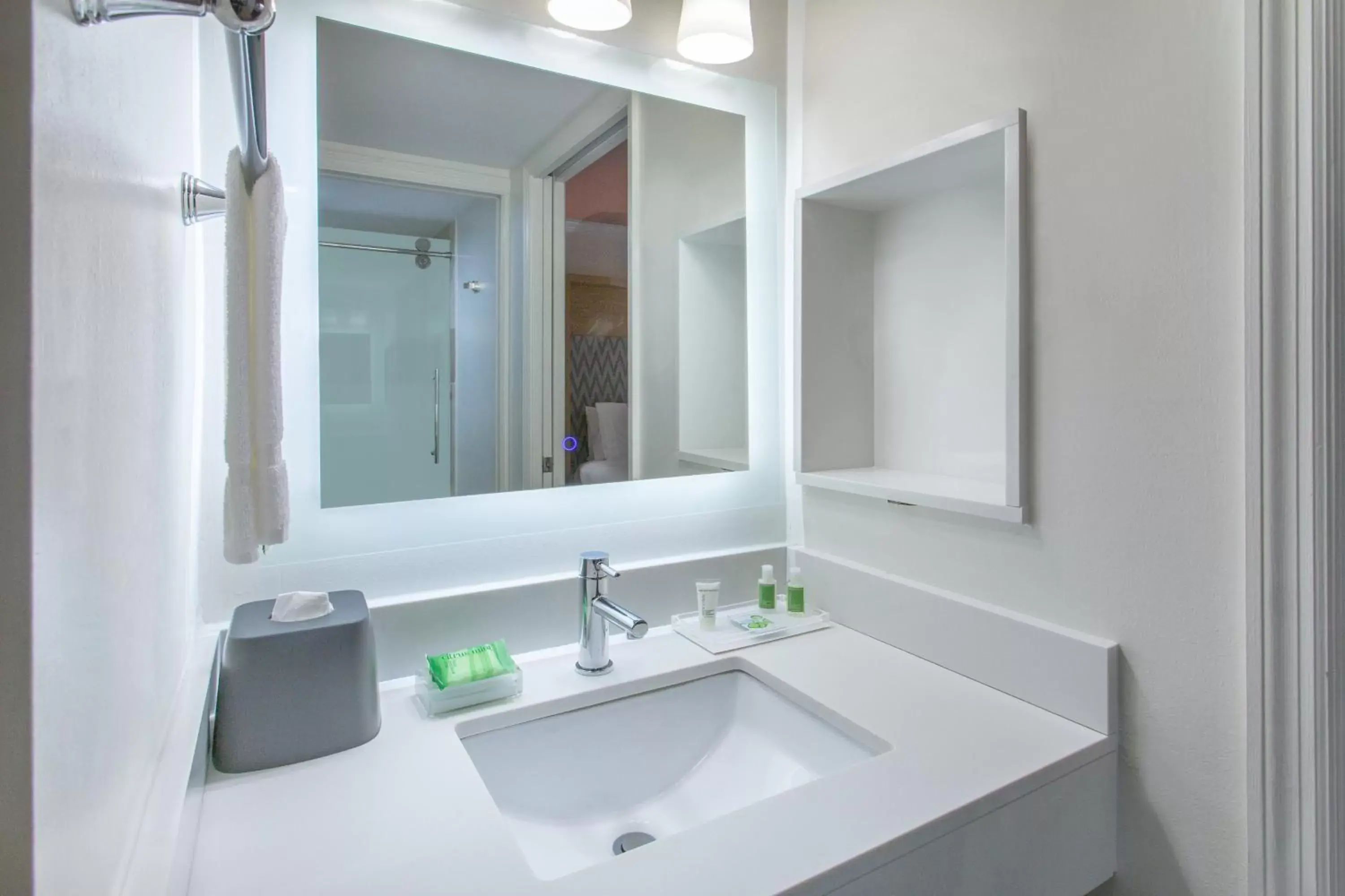 Bathroom in Holiday Inn & Suites Boca Raton - North