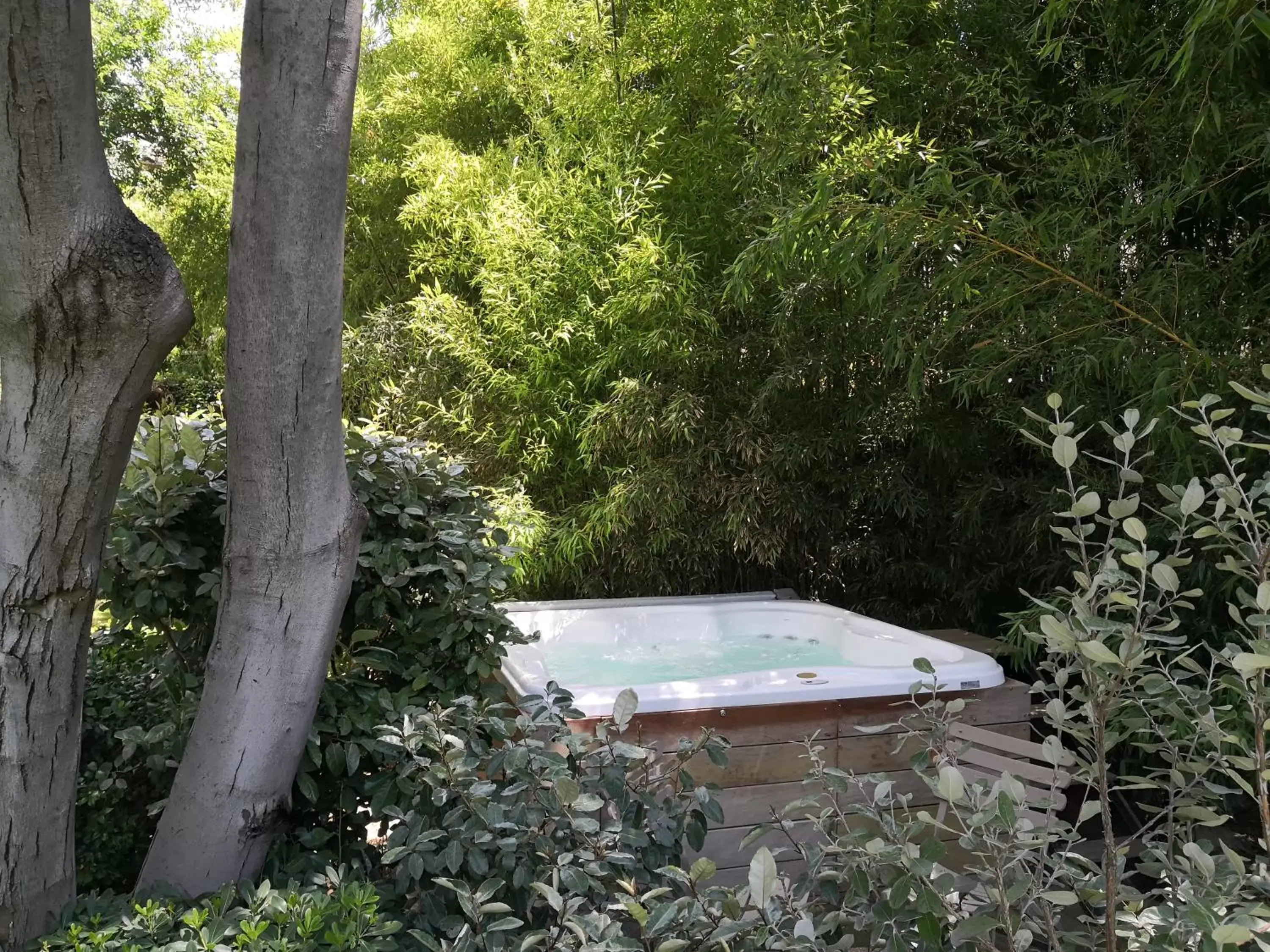 Hot Tub, Swimming Pool in La Divine Comédie-Suites Deluxe