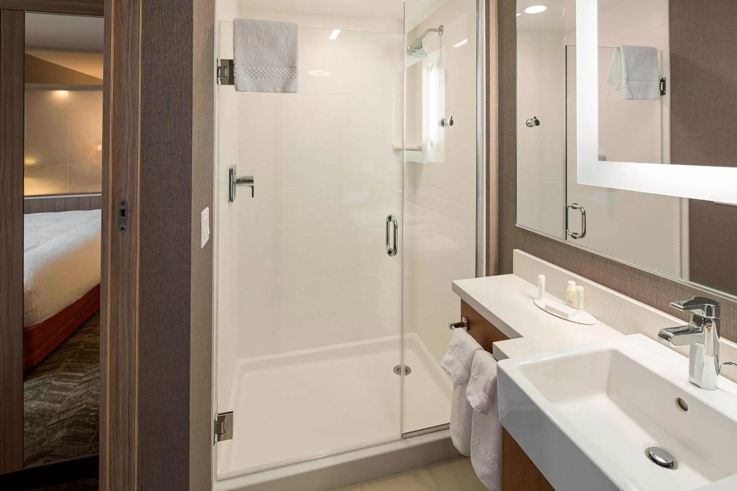 Bathroom in SpringHill Suites by Marriott Kalispell