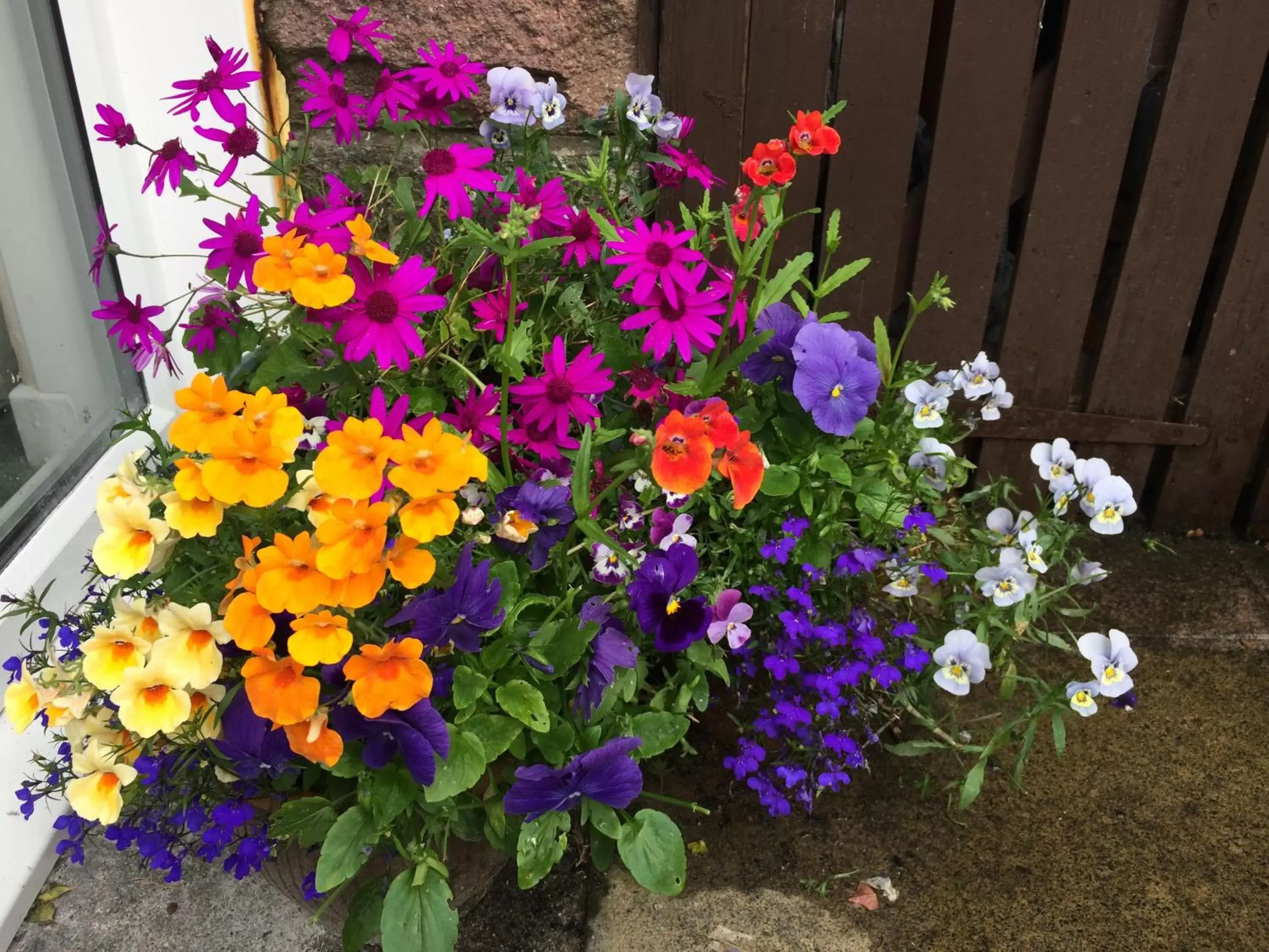 Garden in Castlecroft Bed and Breakfast