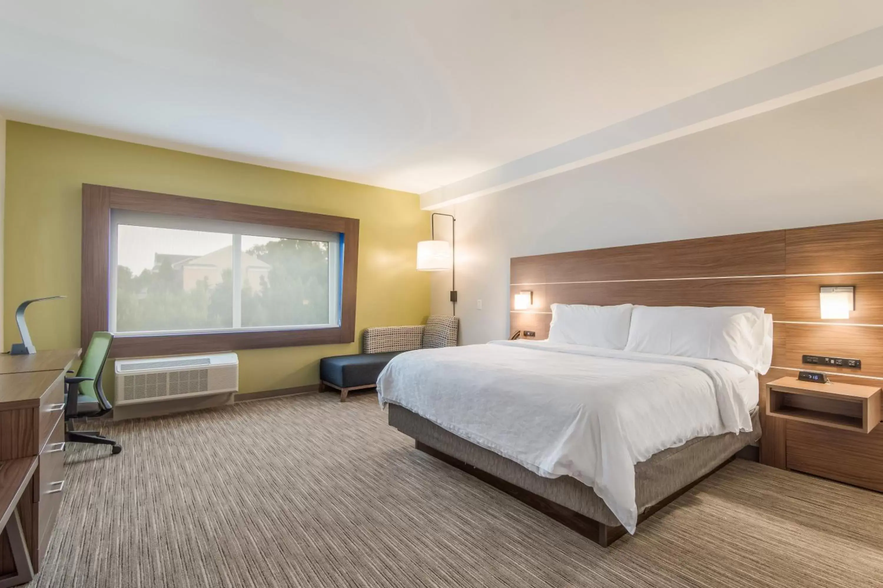 Photo of the whole room, Bed in Holiday Inn Express & Suites - Asheboro, an IHG Hotel