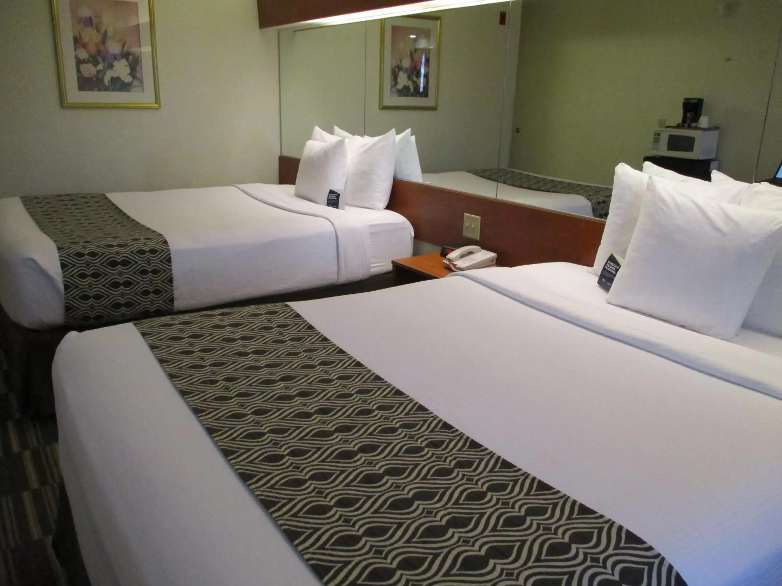 Bed in Microtel Inn and Suites - Inver Grove Heights