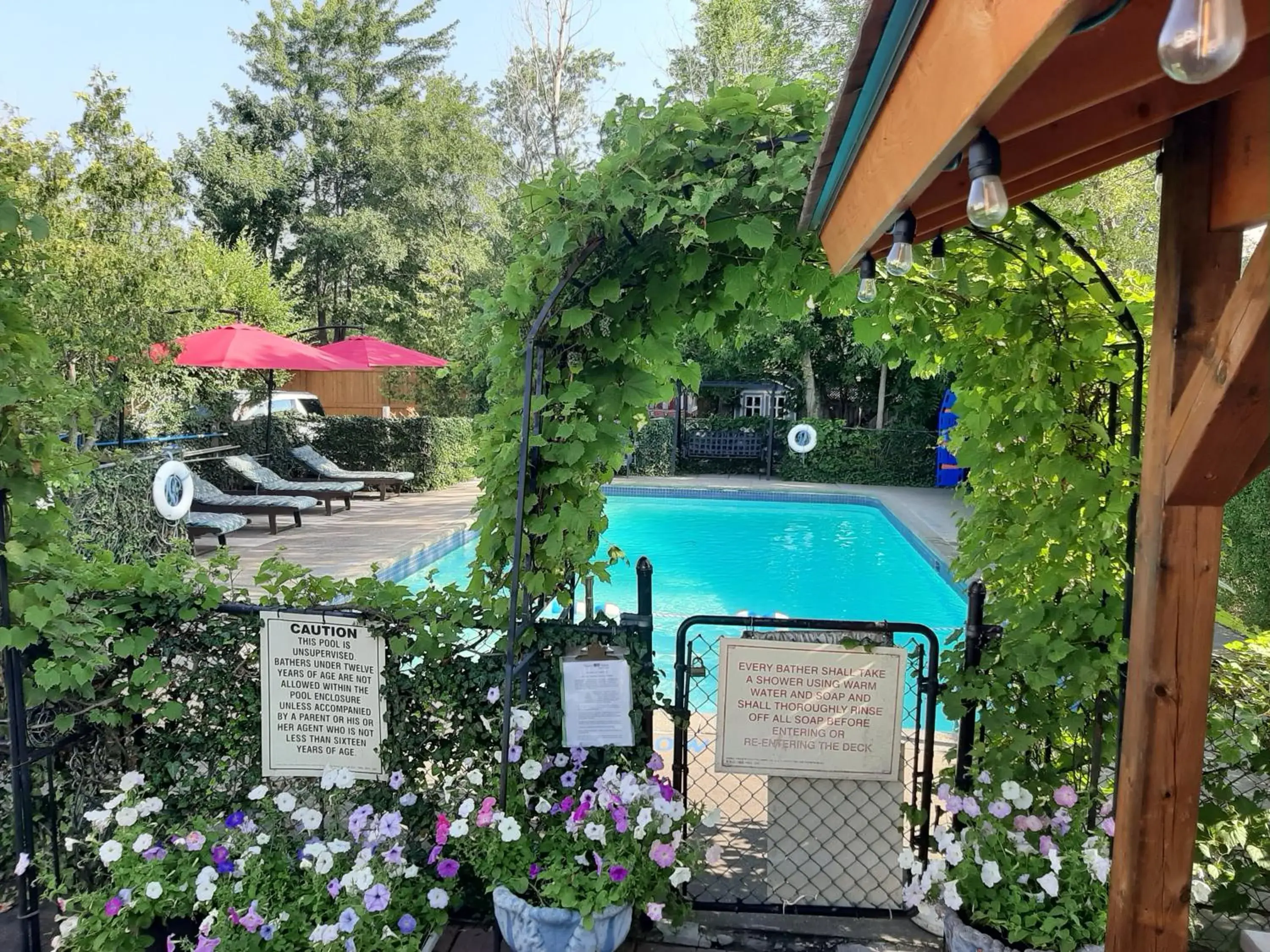 Swimming Pool in Blue Moon Motel