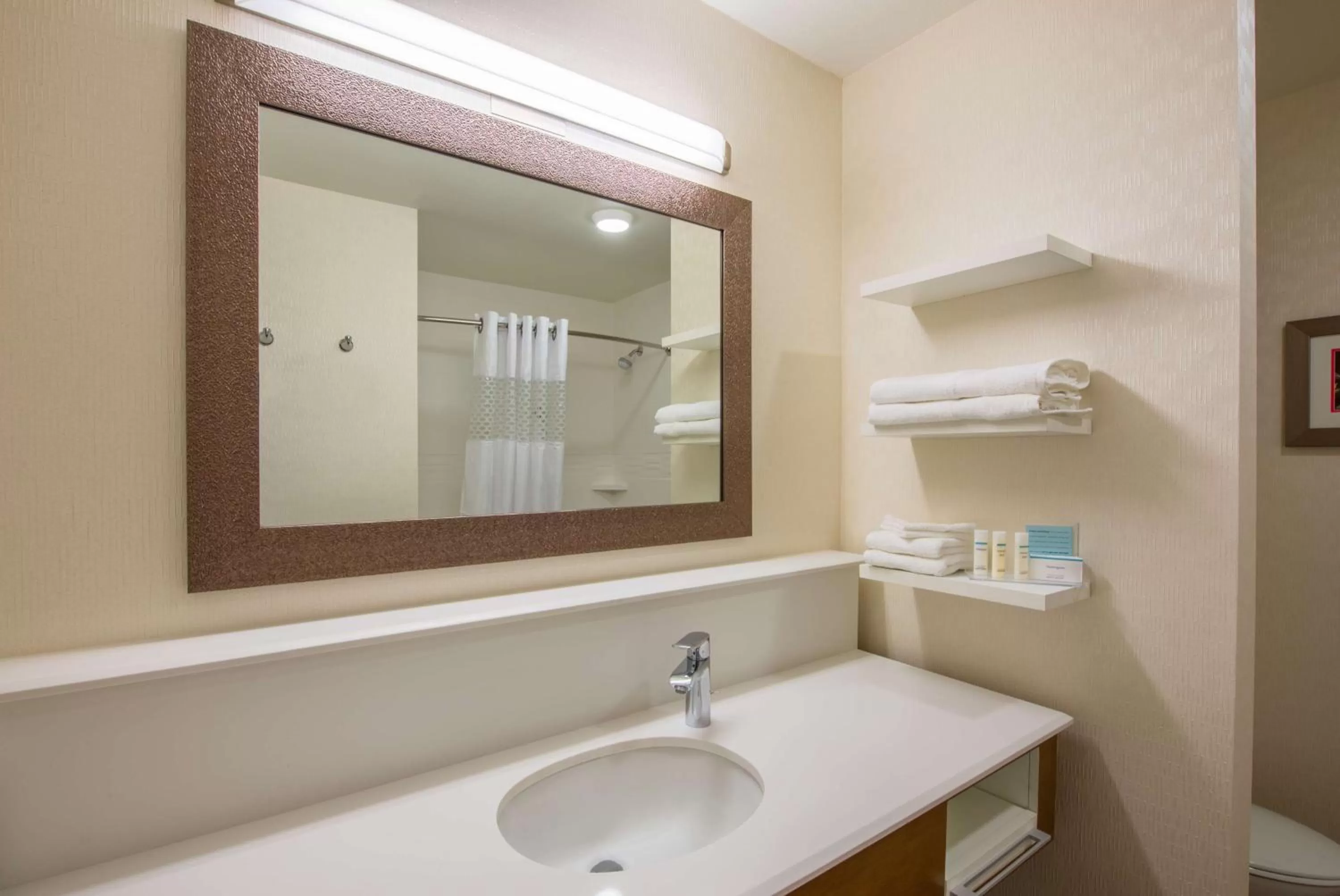 Bathroom in Hampton Inn & Suites Phoenix - East Mesa in Gilbert