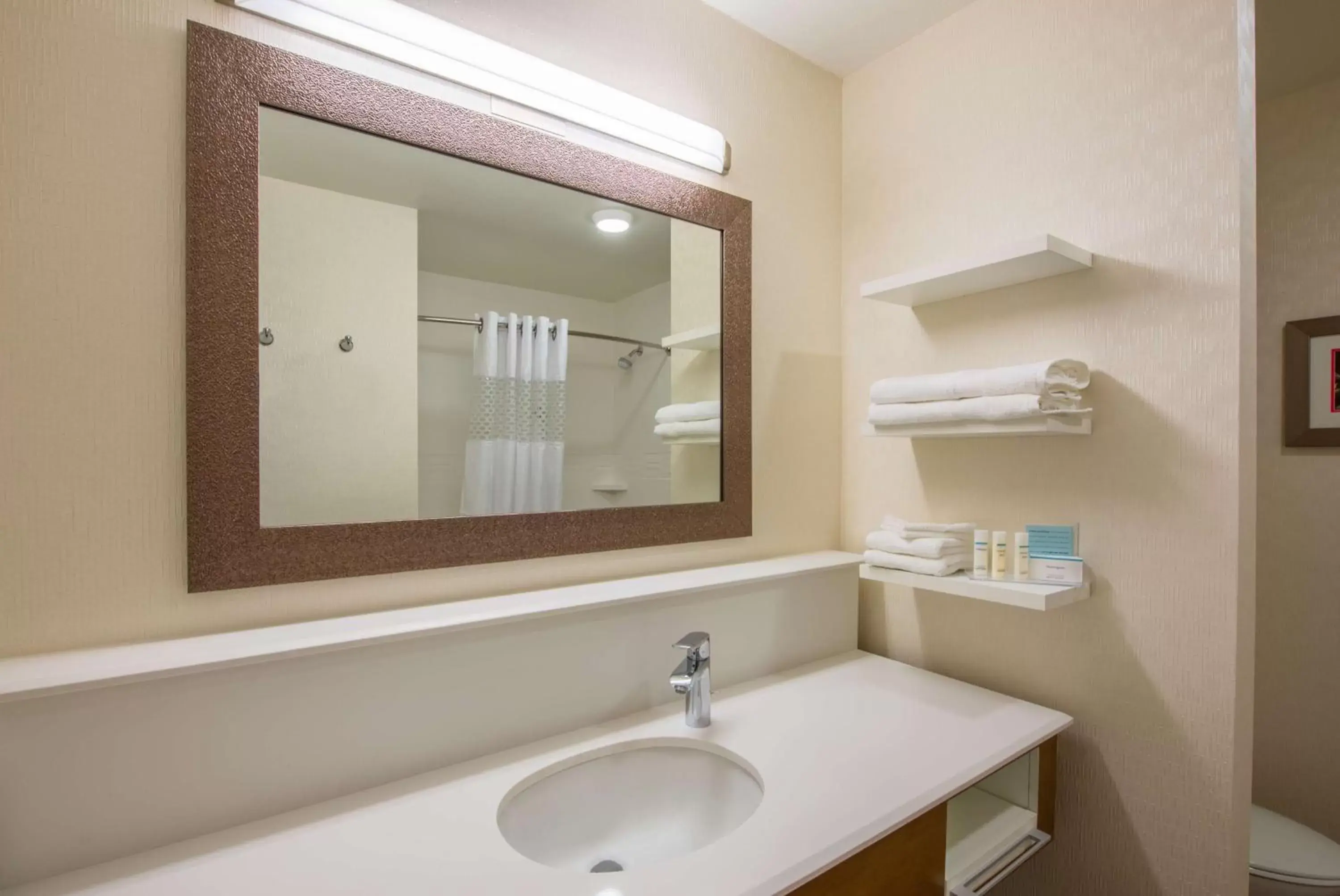 Bathroom in Hampton Inn & Suites Phoenix - East Mesa in Gilbert