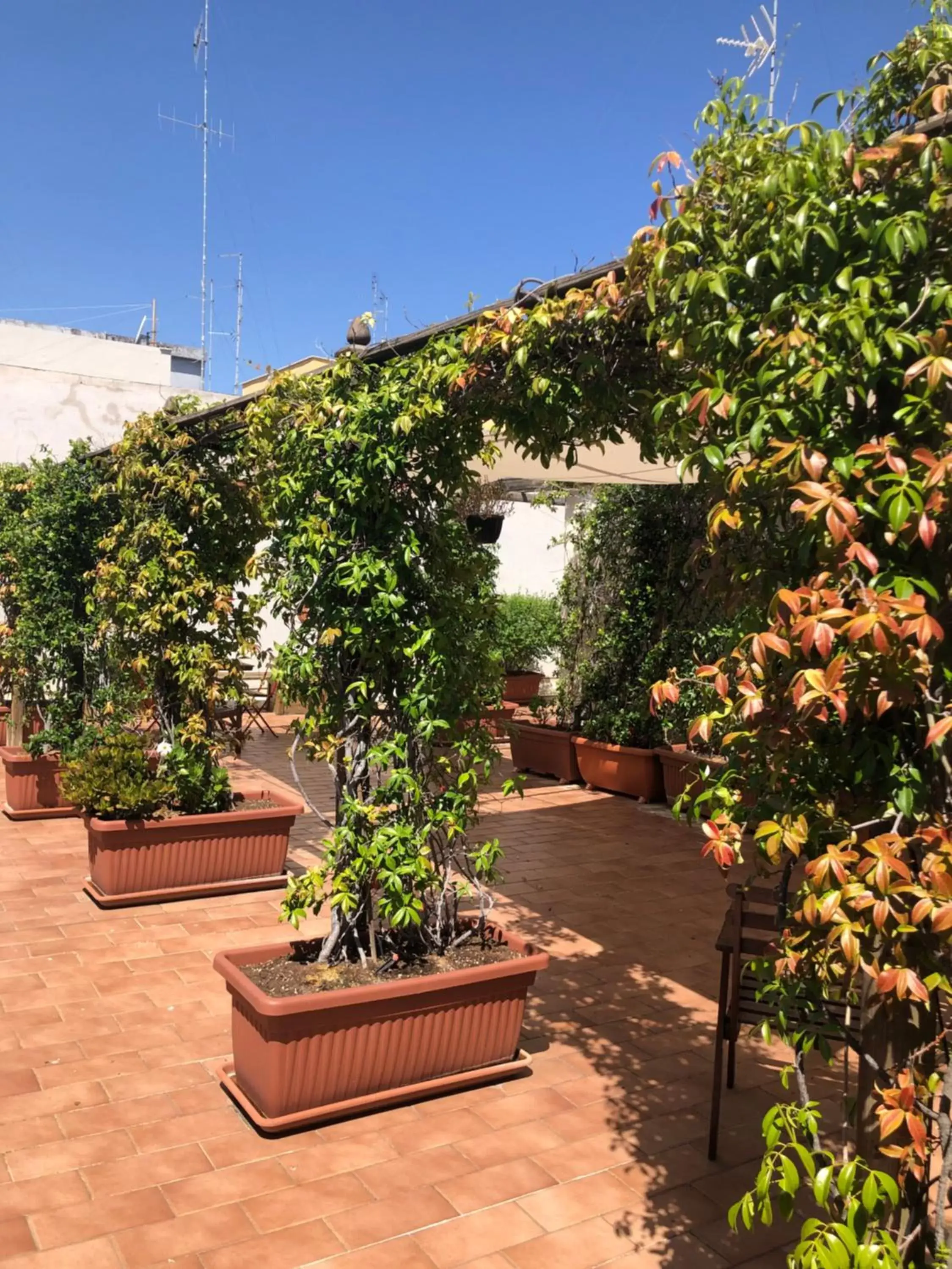 Balcony/Terrace in Visa Residence