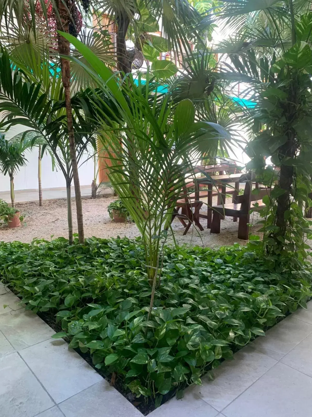 Property building, Garden in Los Arcos Hotel - TULUM