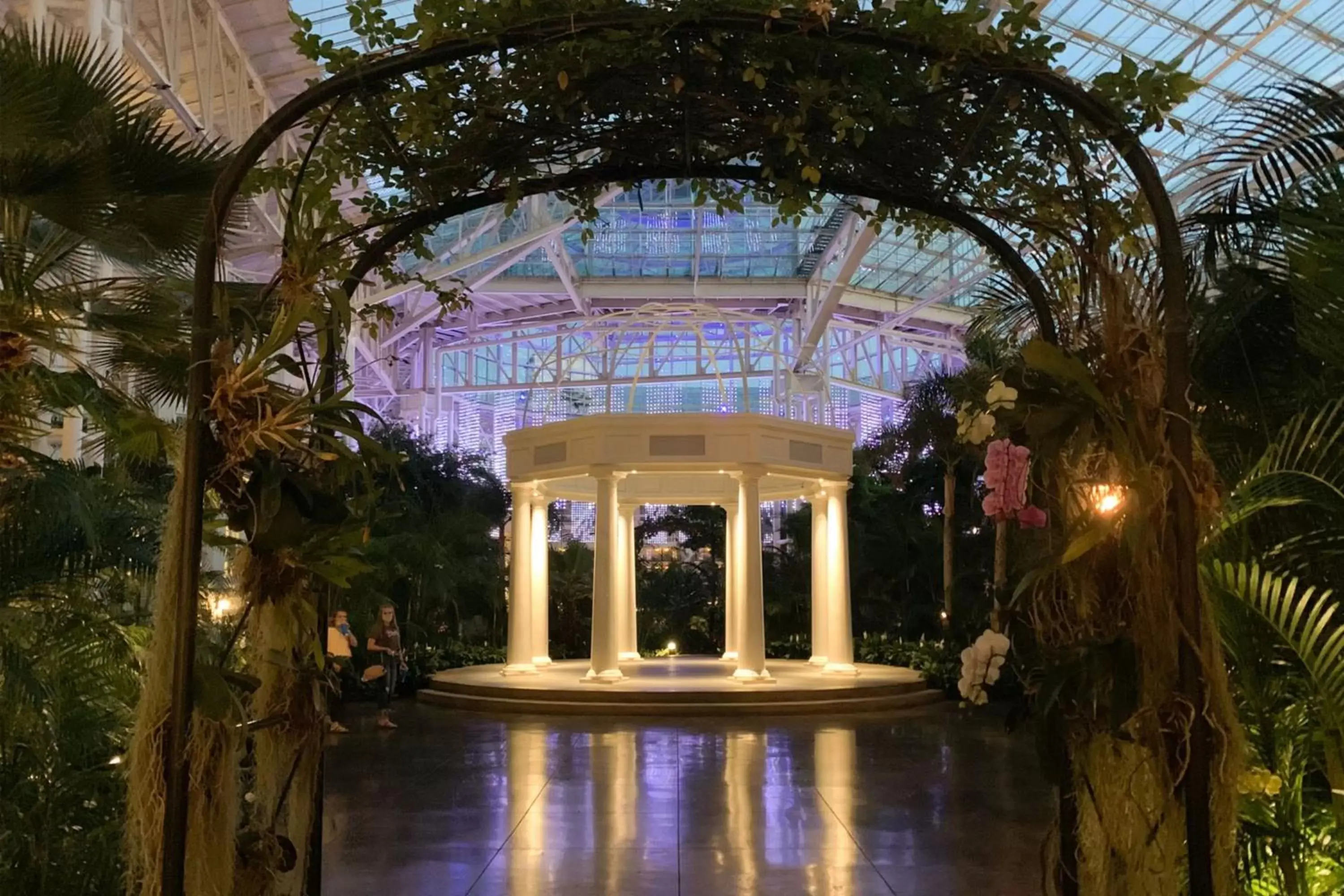 Meeting/conference room, Swimming Pool in Gaylord Opryland Resort & Convention Center