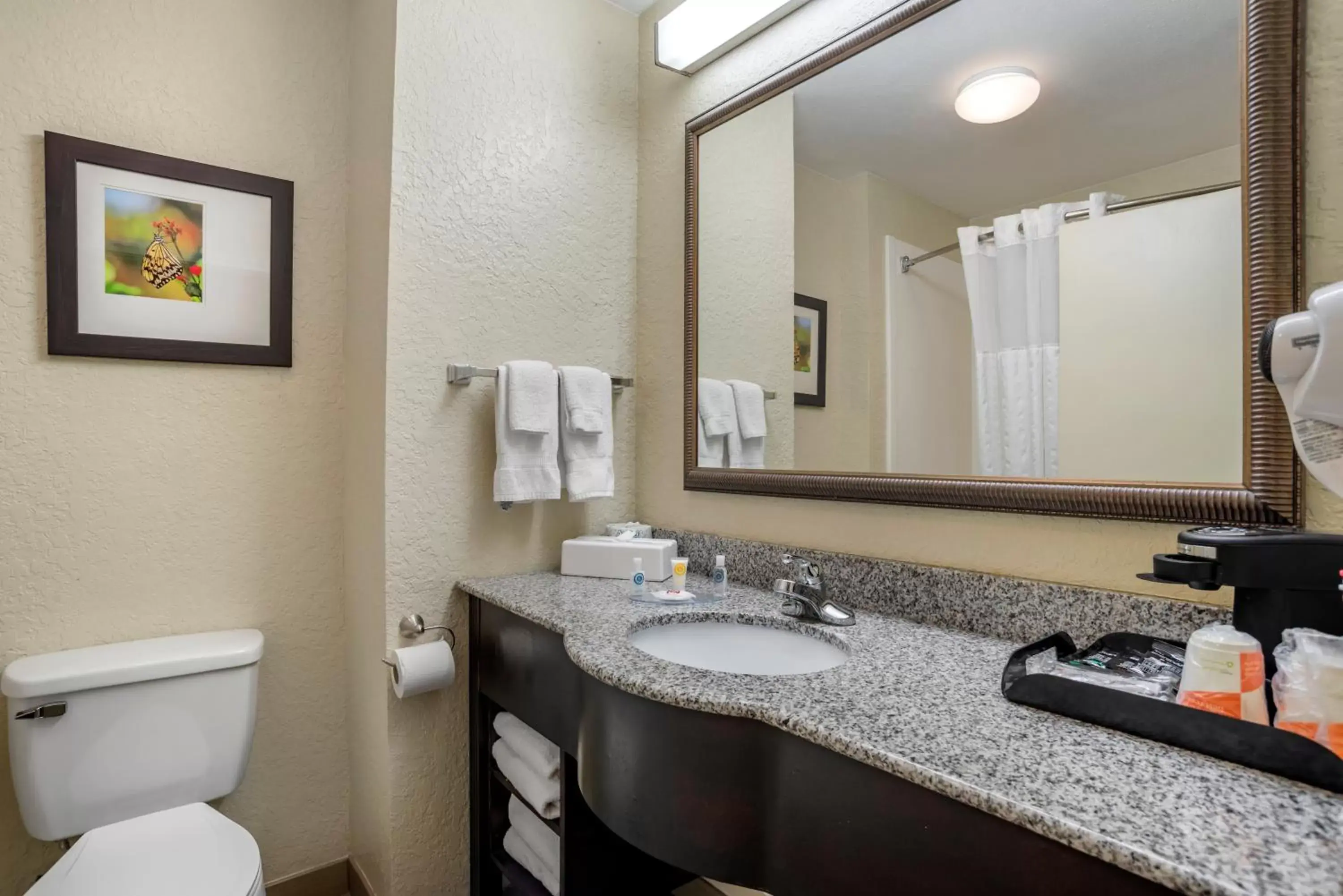 Bathroom in Comfort Inn & Suites Marianna I-10