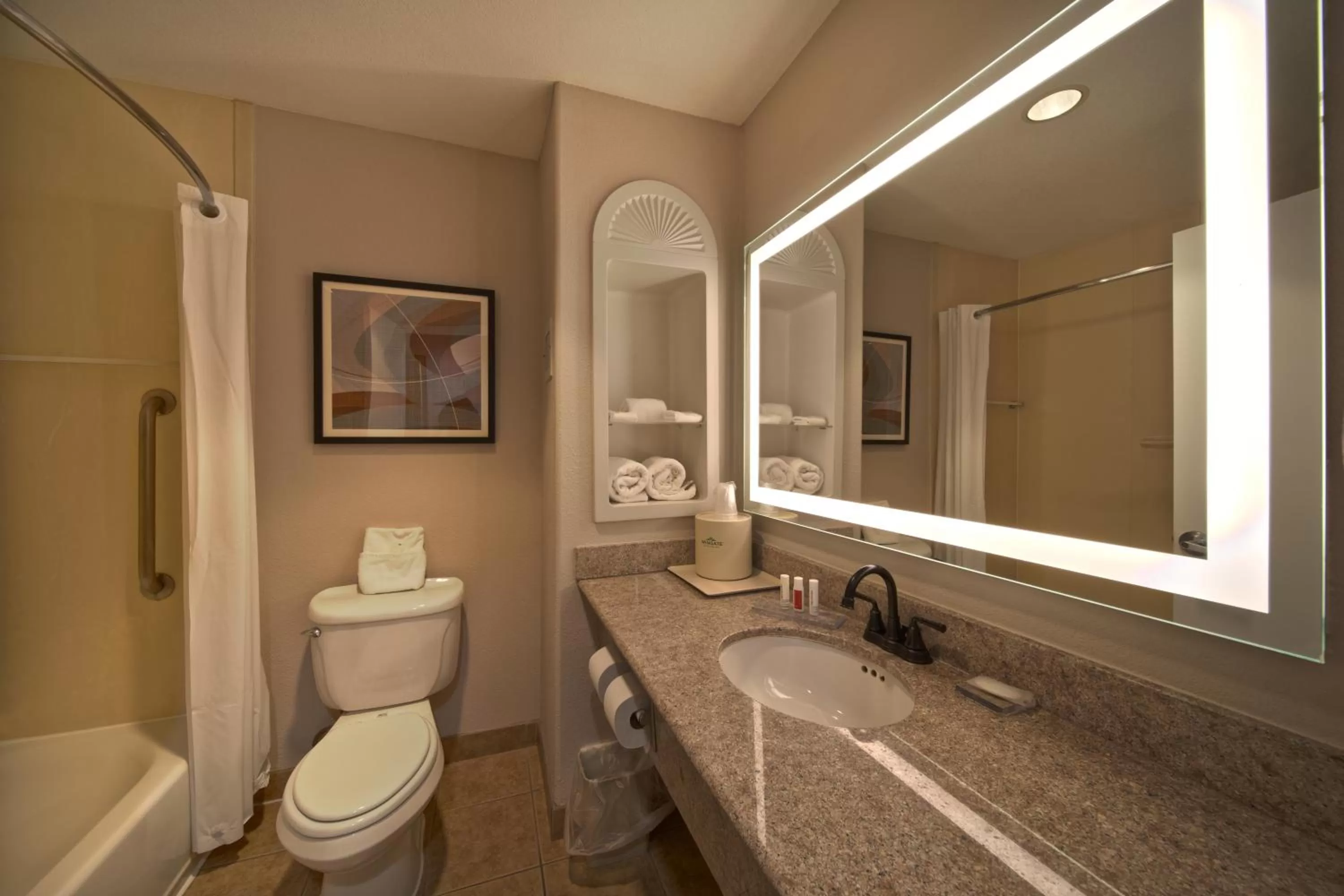 Bathroom in Wingate by Wyndham Houston Bush Intercontinental Airport