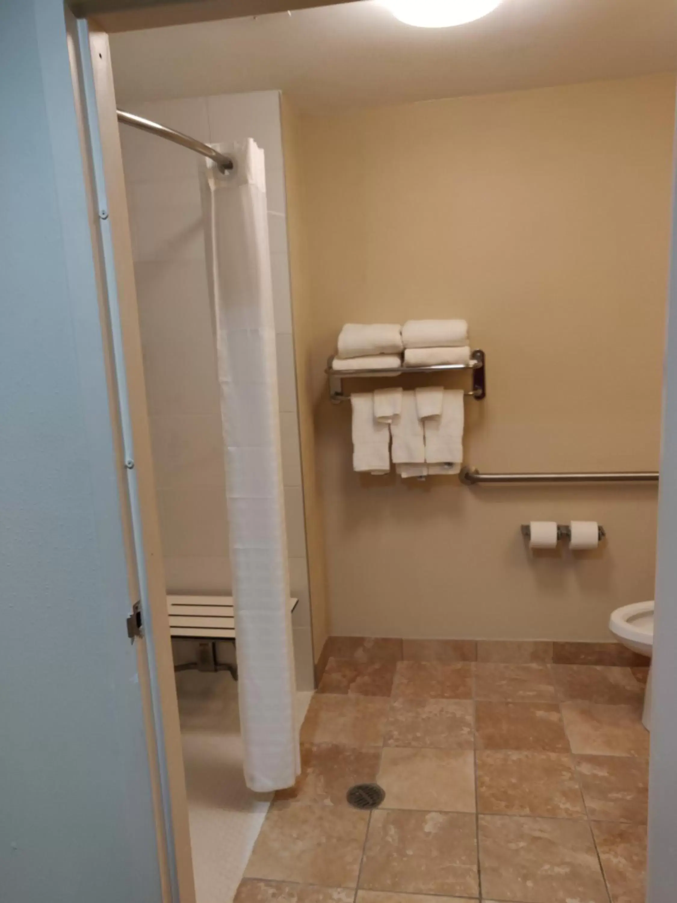 Shower, Bathroom in Comfort Inn Kennesaw