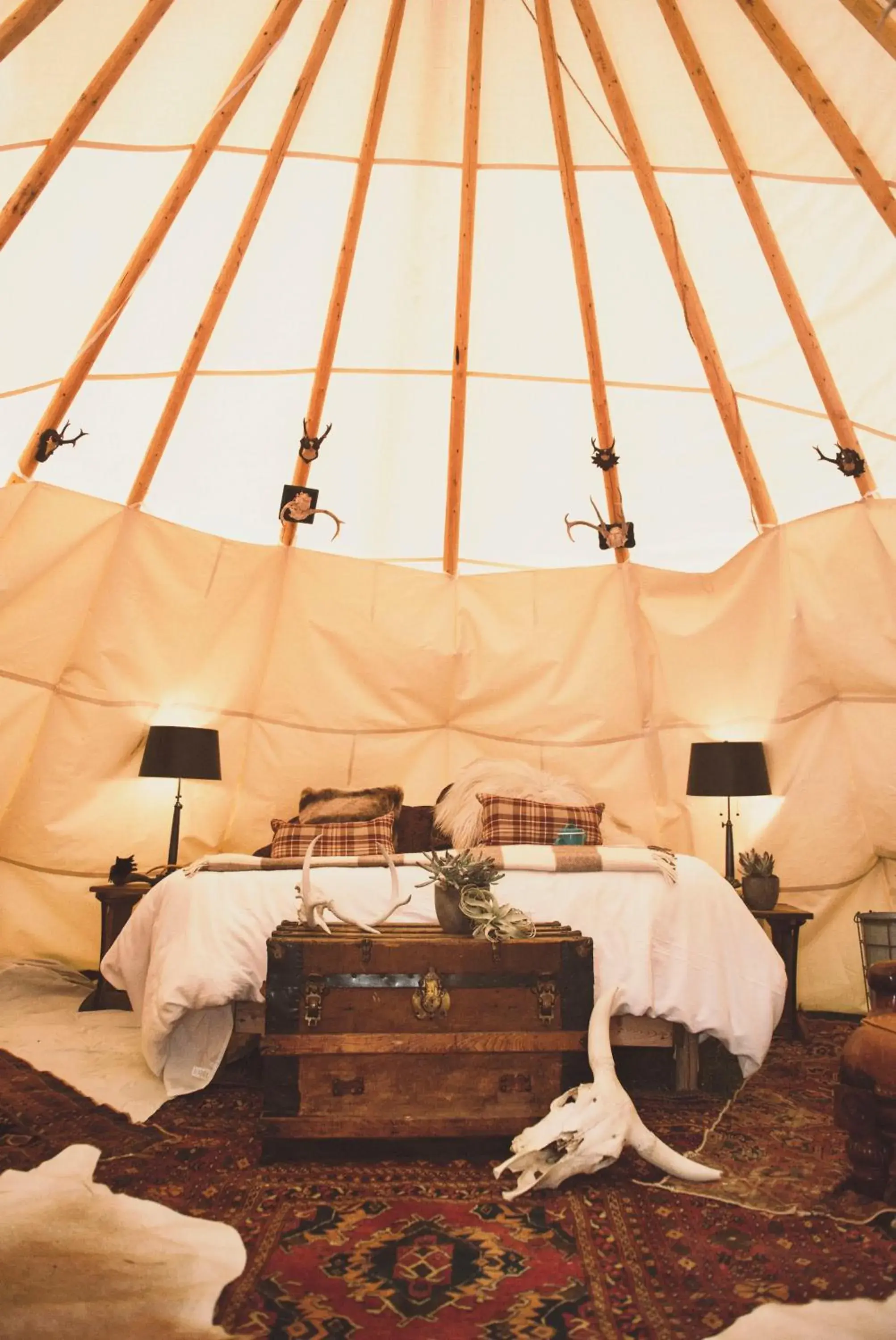 Property building in Dreamcatcher Tipi Hotel