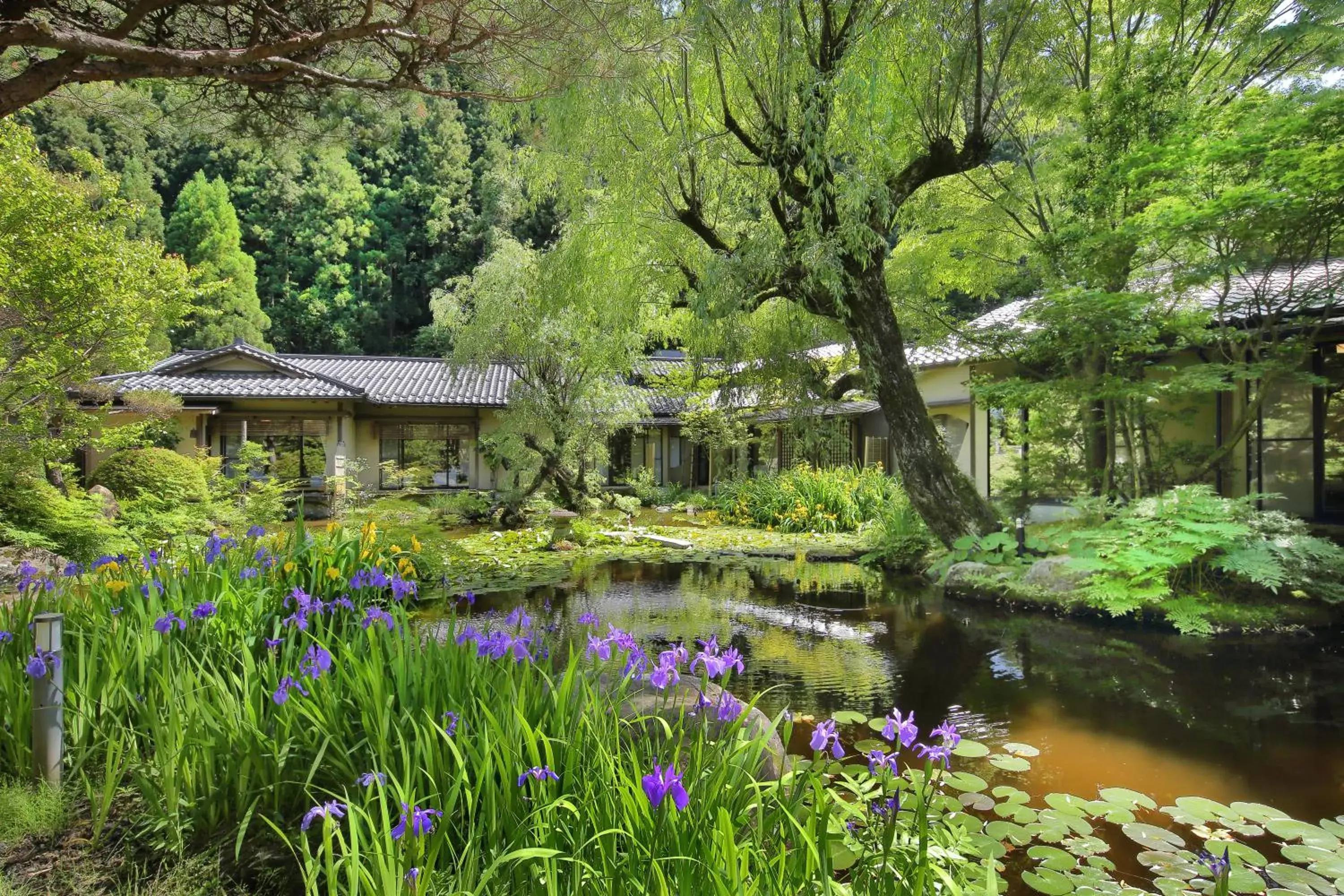 Day, Property Building in Ryokan Tachibanaya