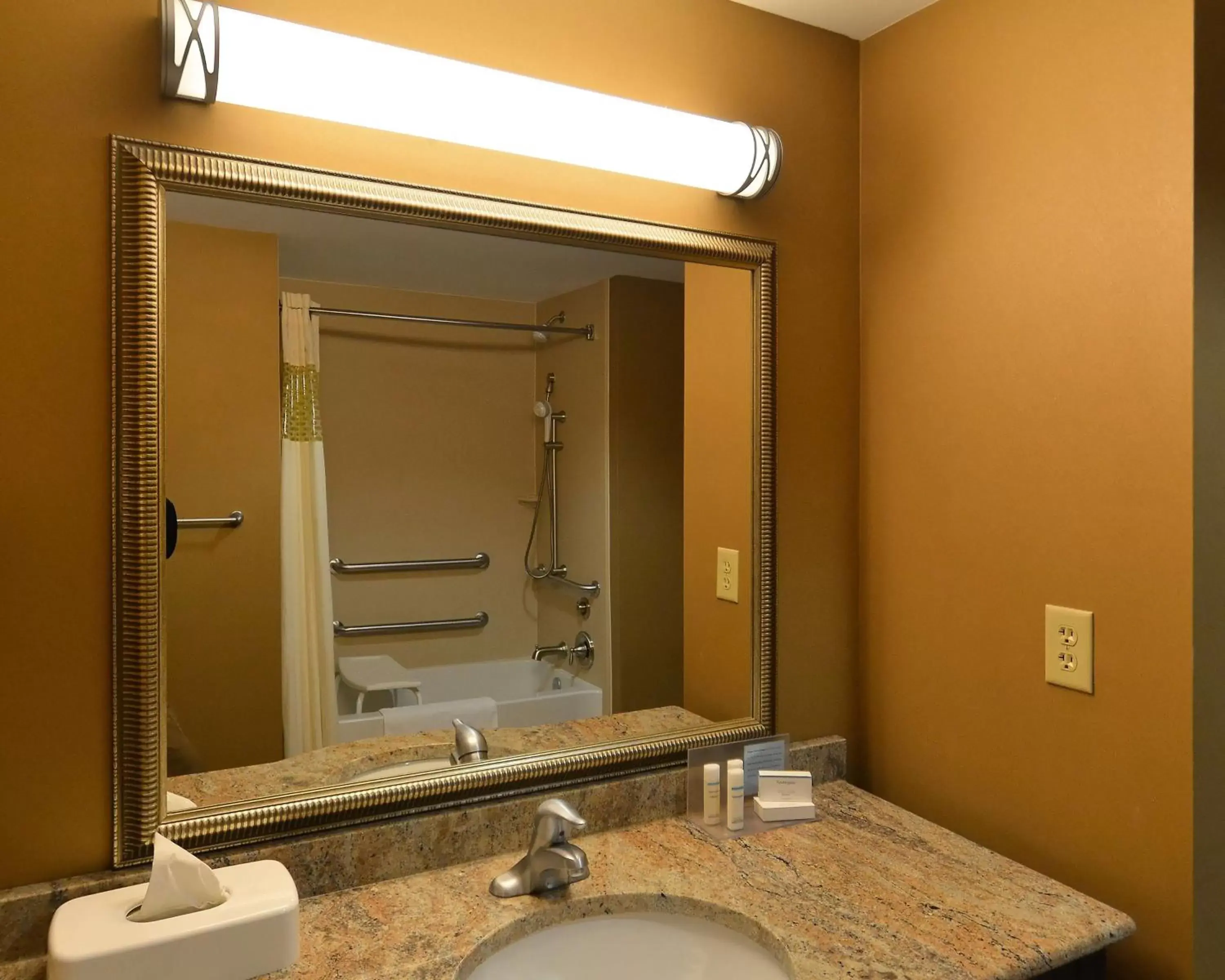 Bathroom in Hampton Inn Geneseo