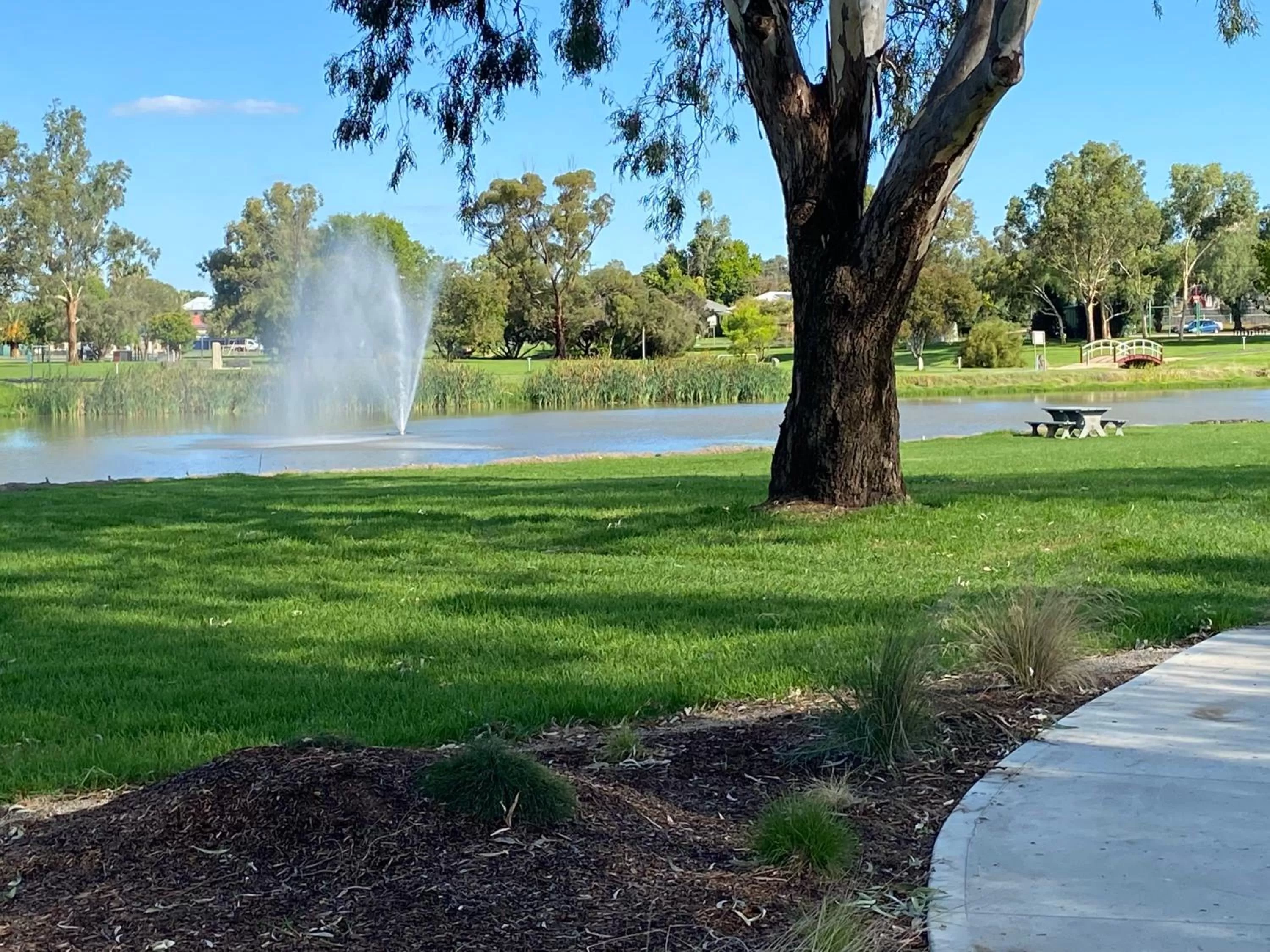 Area and facilities in Ben Hall Motor Inn