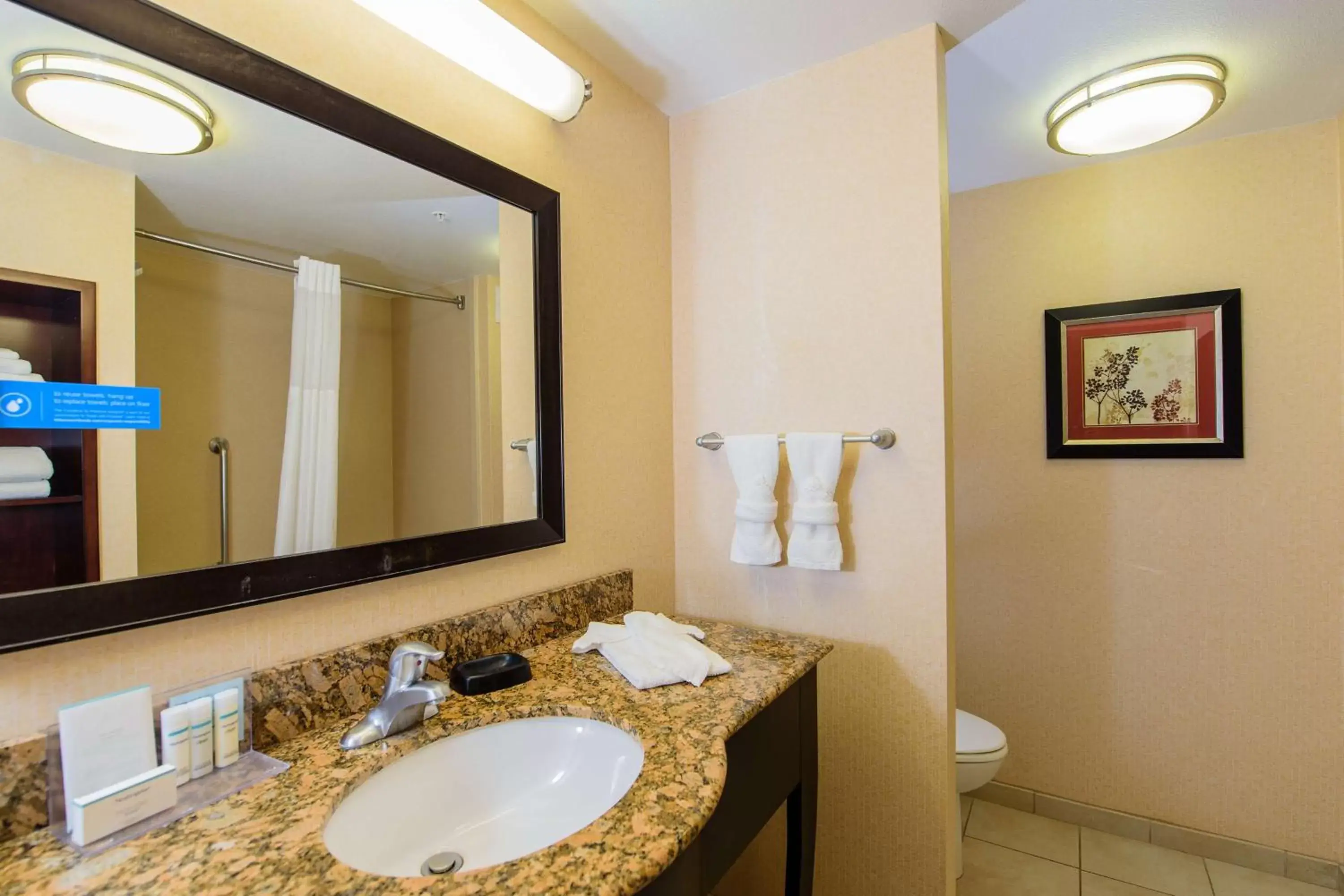 Bathroom in Hampton Inn & Suites Denver/Highlands Ranch