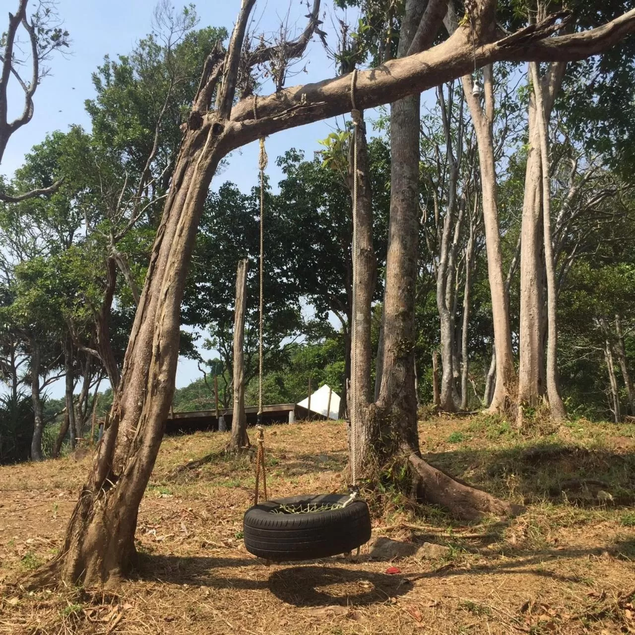 Bird's eye view in Cliff Cottage