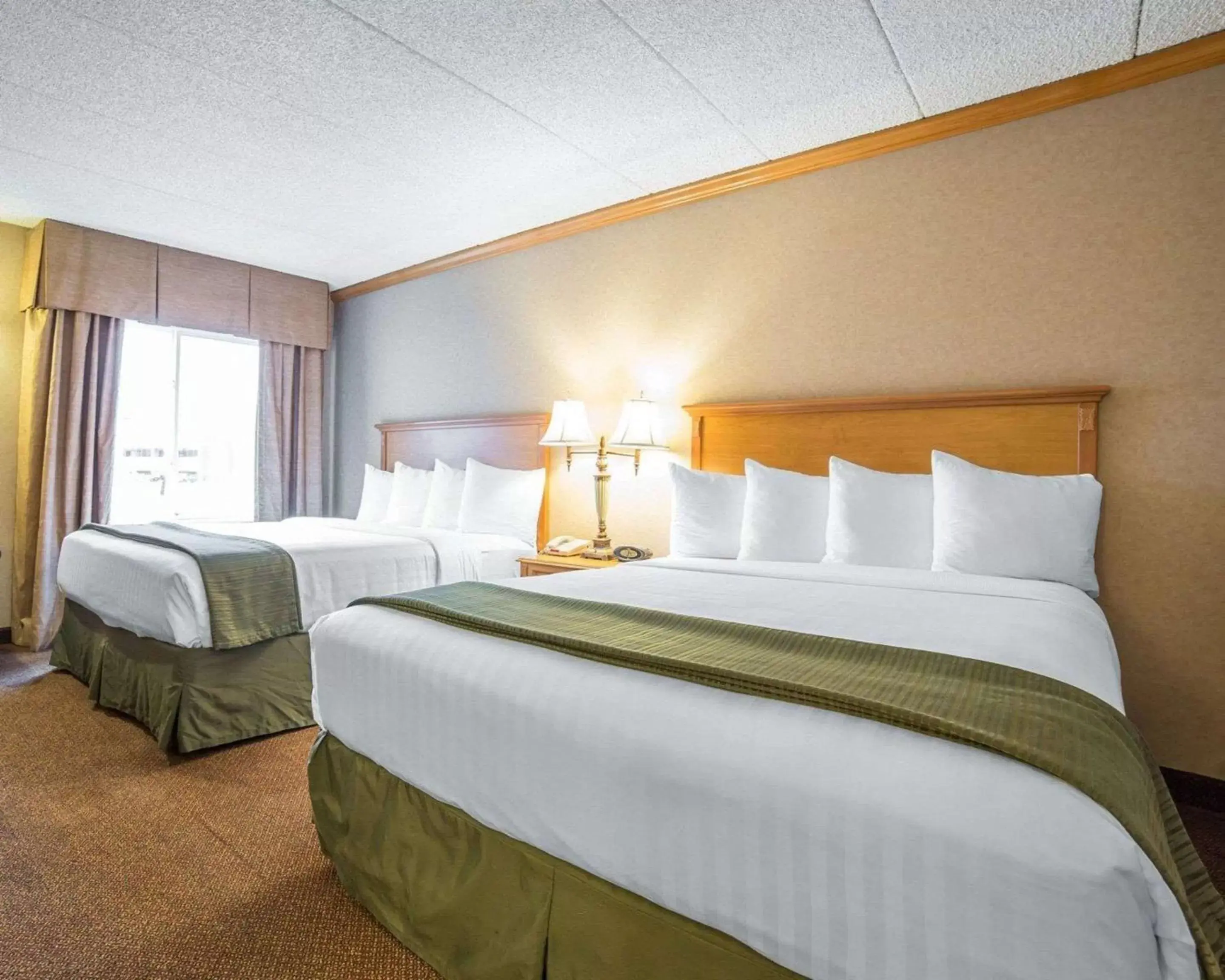 Photo of the whole room, Bed in Quality Inn & Suites Casper near Event Center