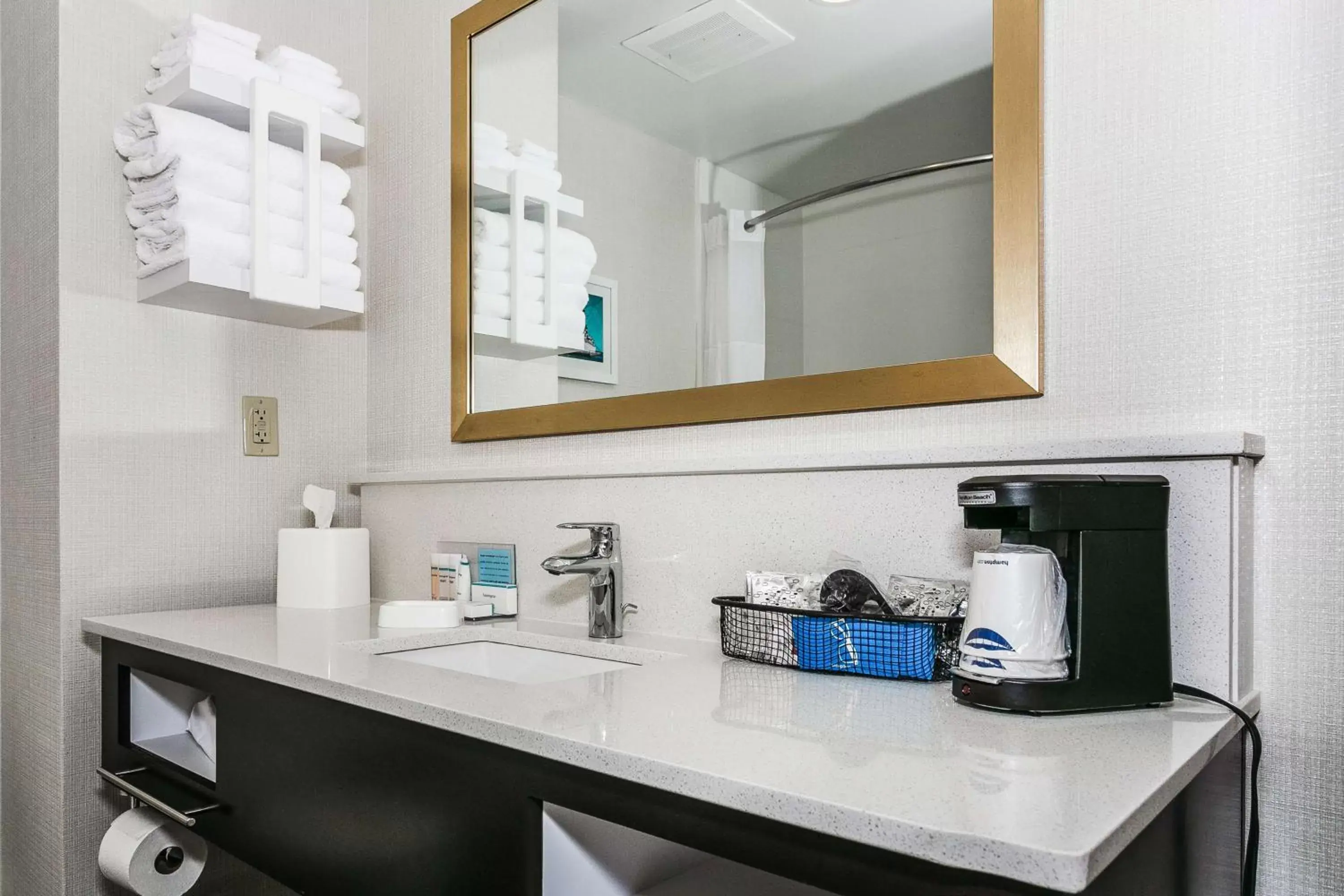 Bathroom, Kitchen/Kitchenette in Hampton Inn & Suites Mobile - Downtown Historic District