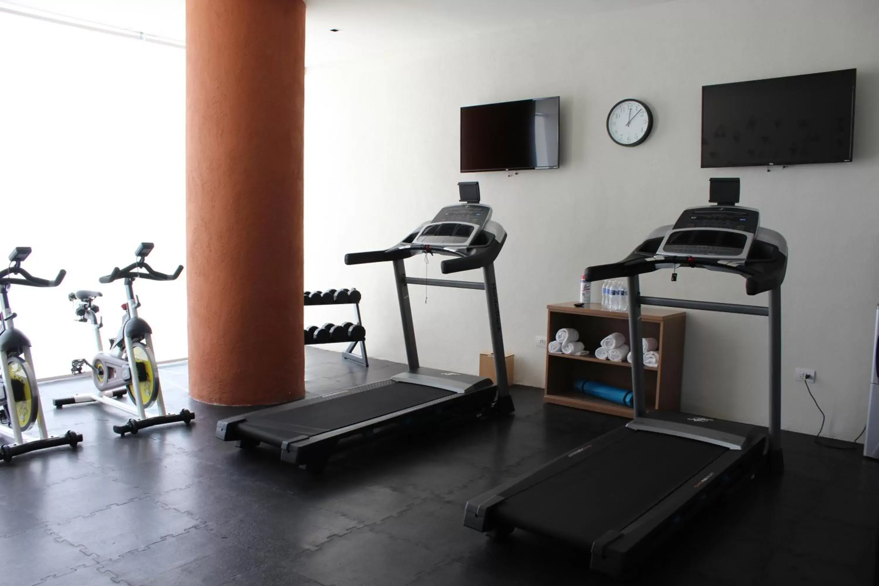 Fitness centre/facilities, Fitness Center/Facilities in Hotel México Plaza Querétaro