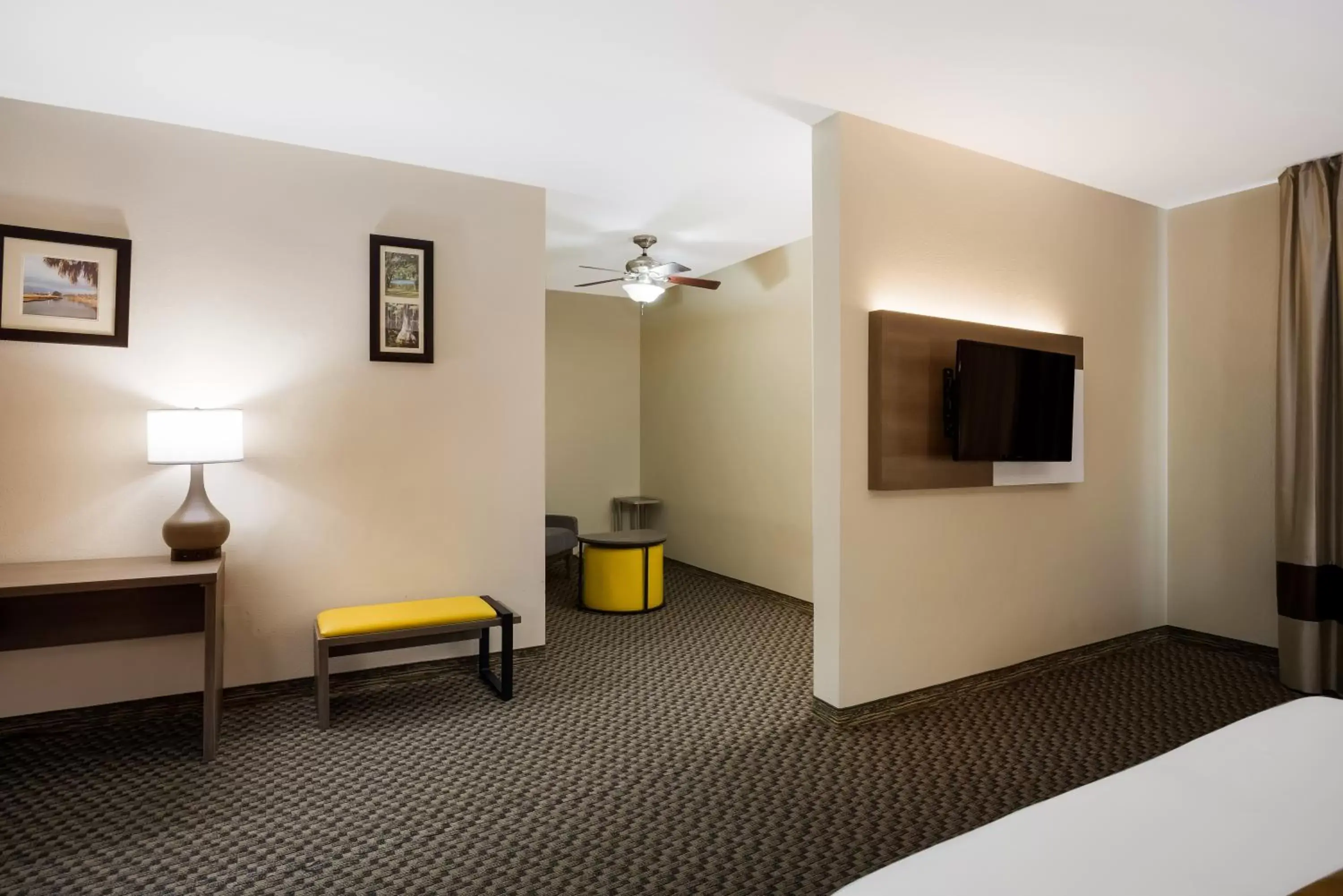 hair dresser, TV/Entertainment Center in Comfort Inn & Suites Midway - Tallahassee West