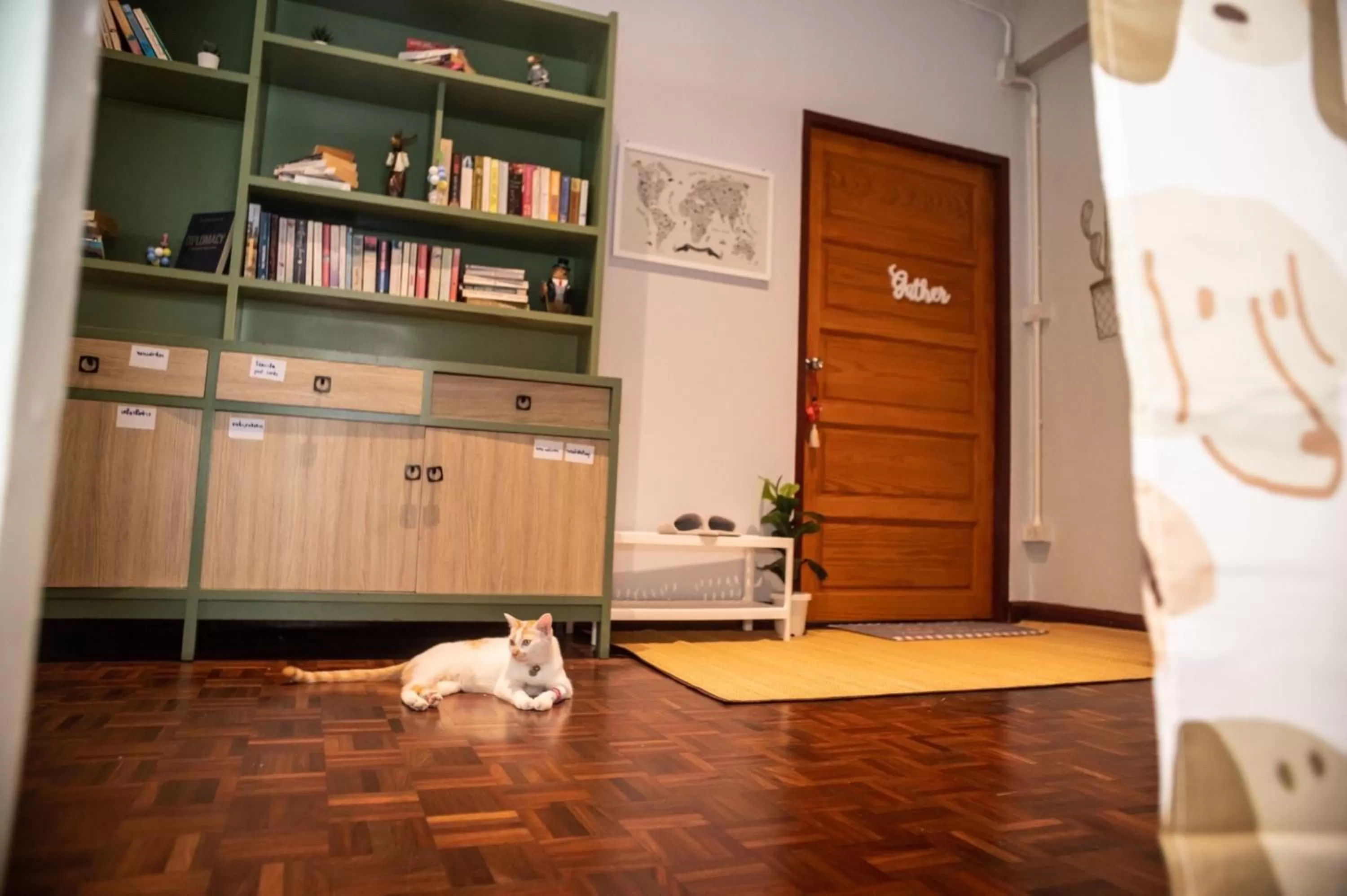 Library in A Day Villa Chiangmai