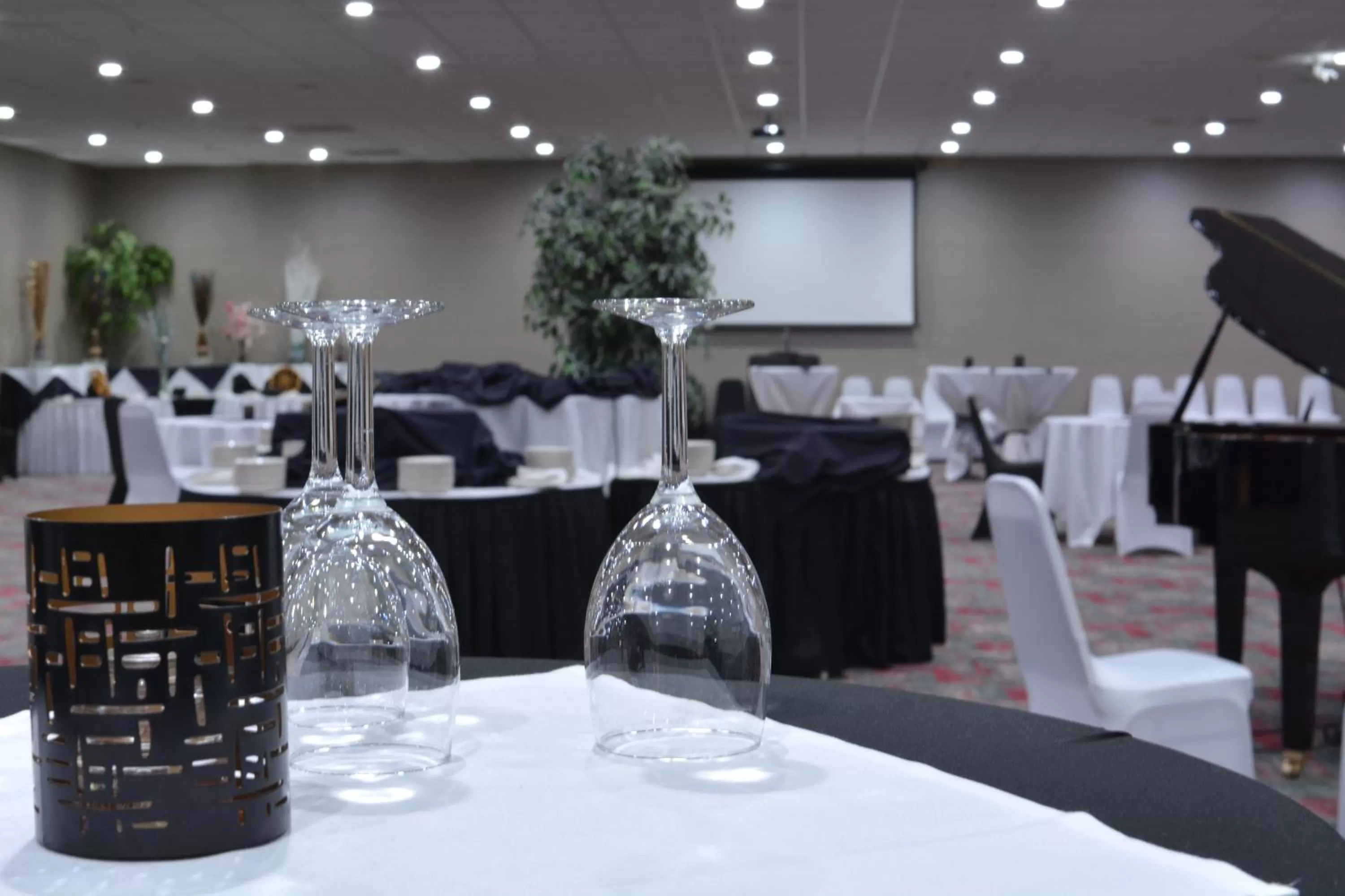 Banquet/Function facilities in Holiday Inn - Salem by IHG