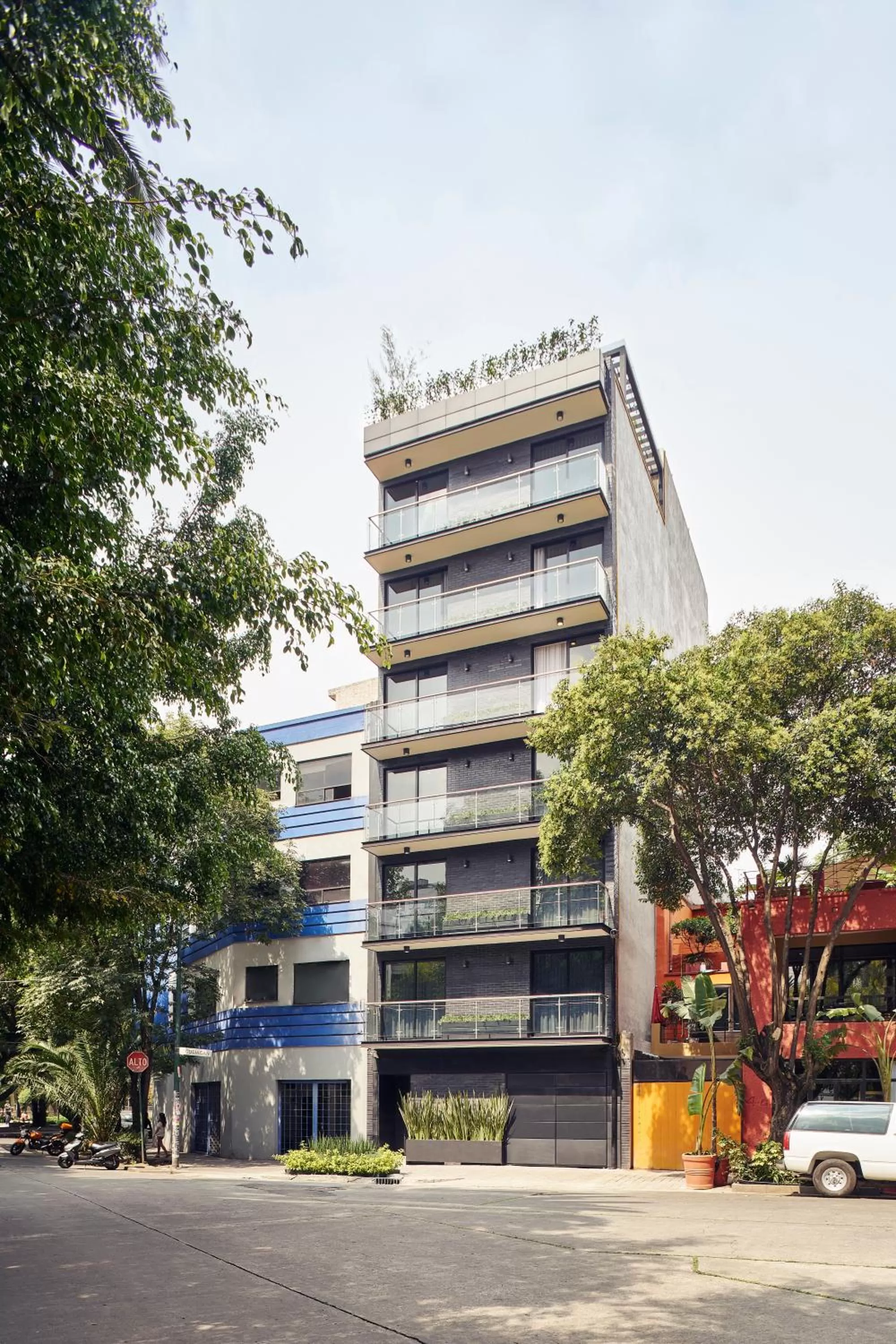 Property building in Felix by Viadora