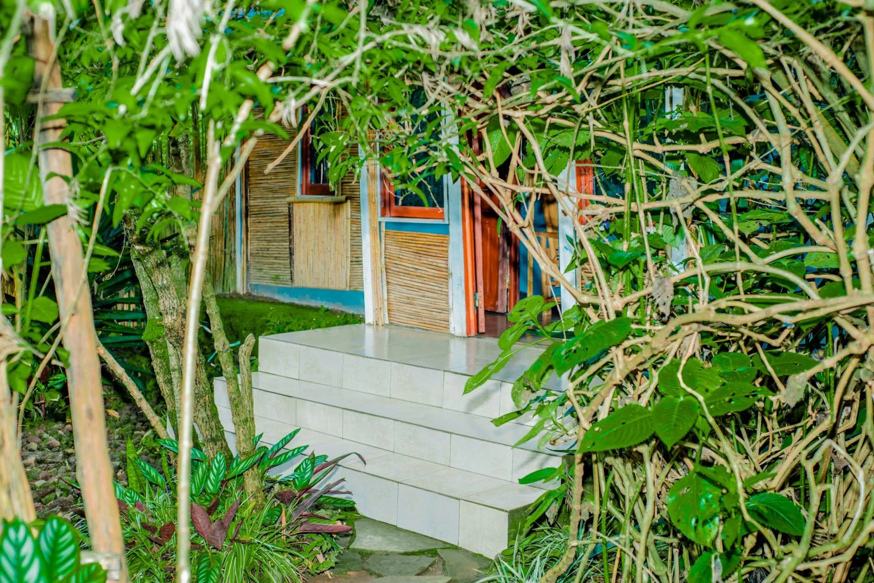 Property building in Fravan Eco Resort By Apogee