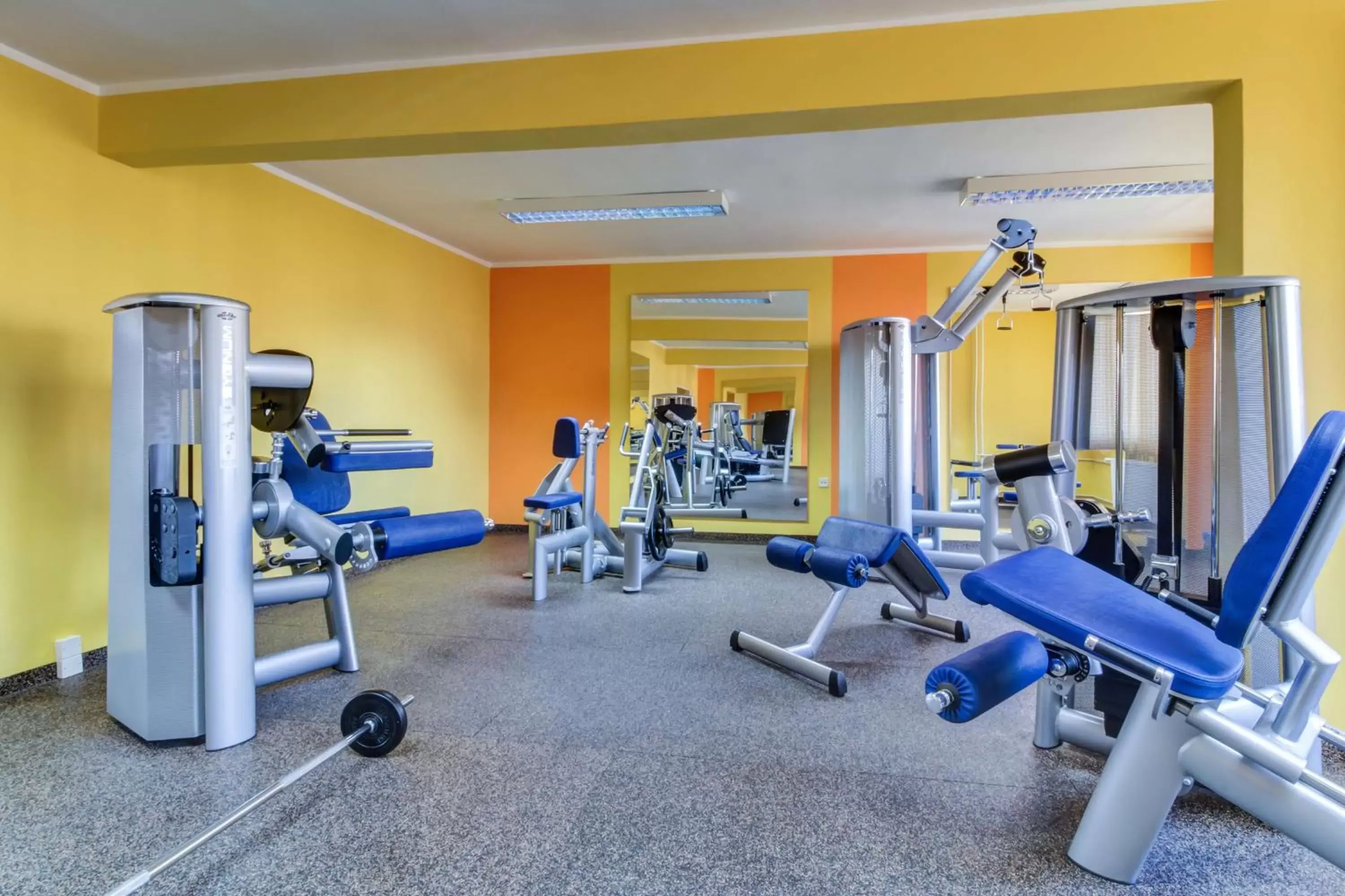 Fitness centre/facilities, Fitness Center/Facilities in Best Western Hotel Vista