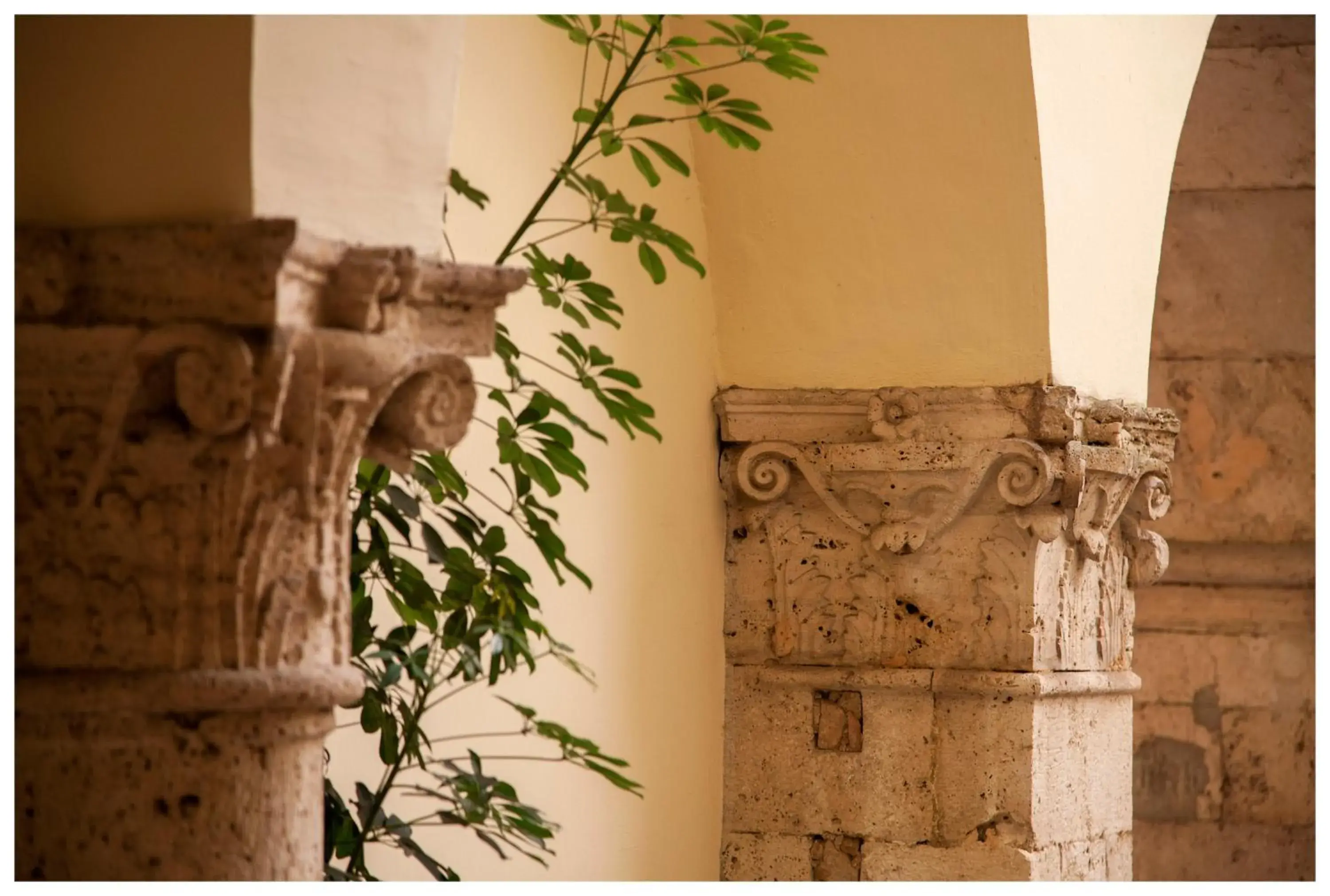 Lobby or reception, Patio/Outdoor Area in Palazzo Guiderocchi