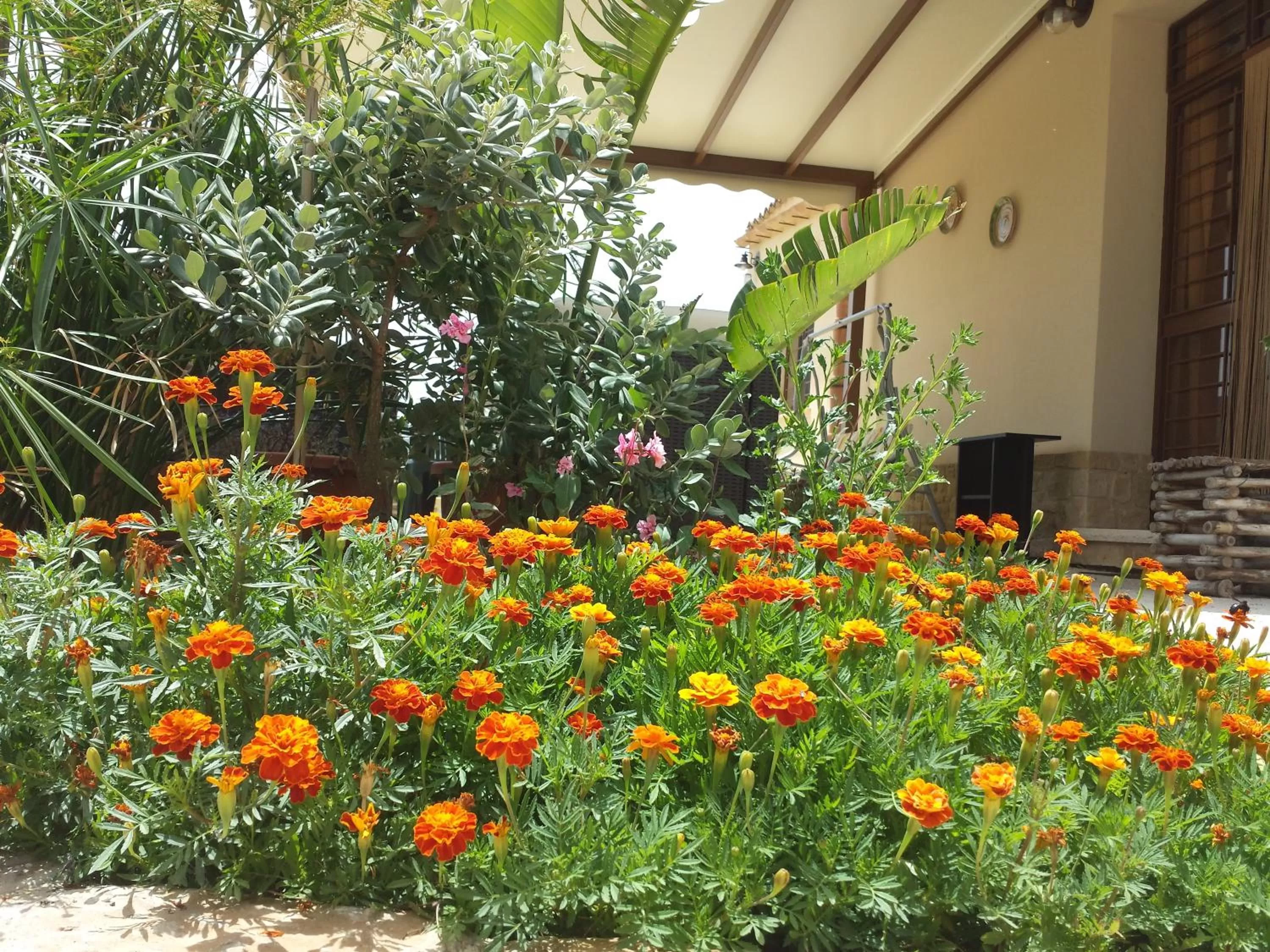 Patio in La Suite Di Segesta