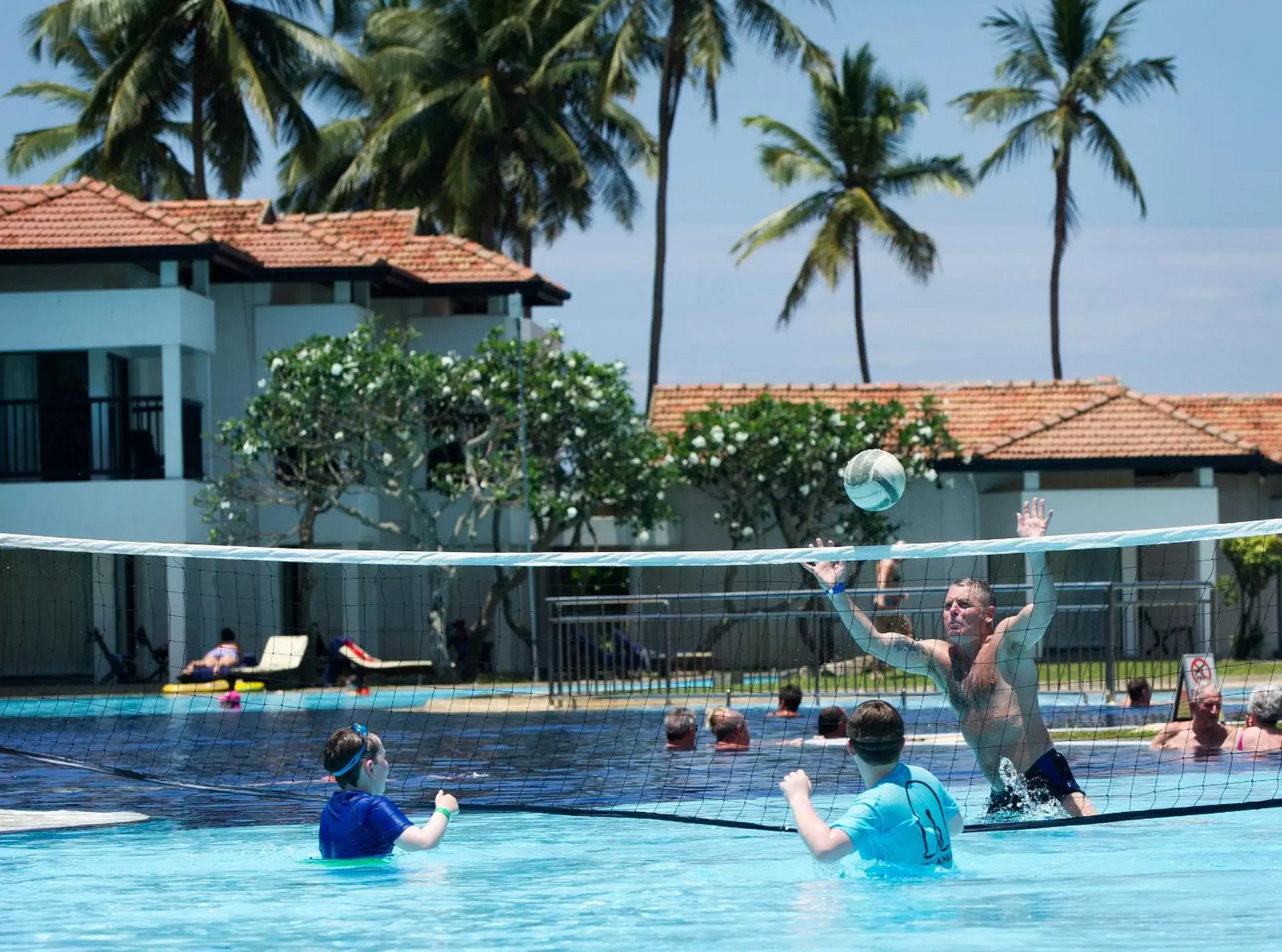 People, Swimming Pool in Club Hotel Dolphin
