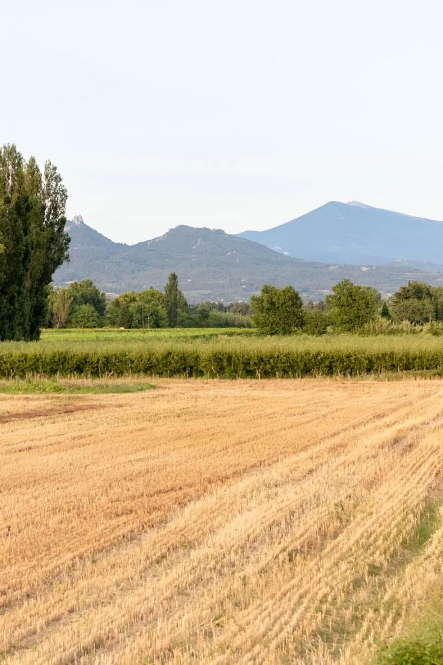 Natural Landscape in Mas des Tourterelles