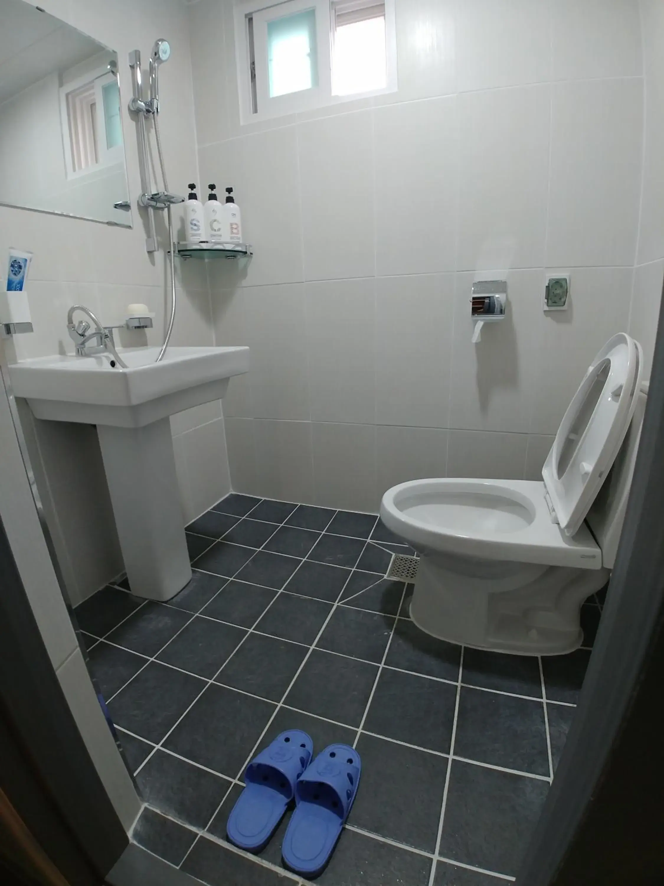 Area and facilities, Bathroom in Bomgoro Guesthouse