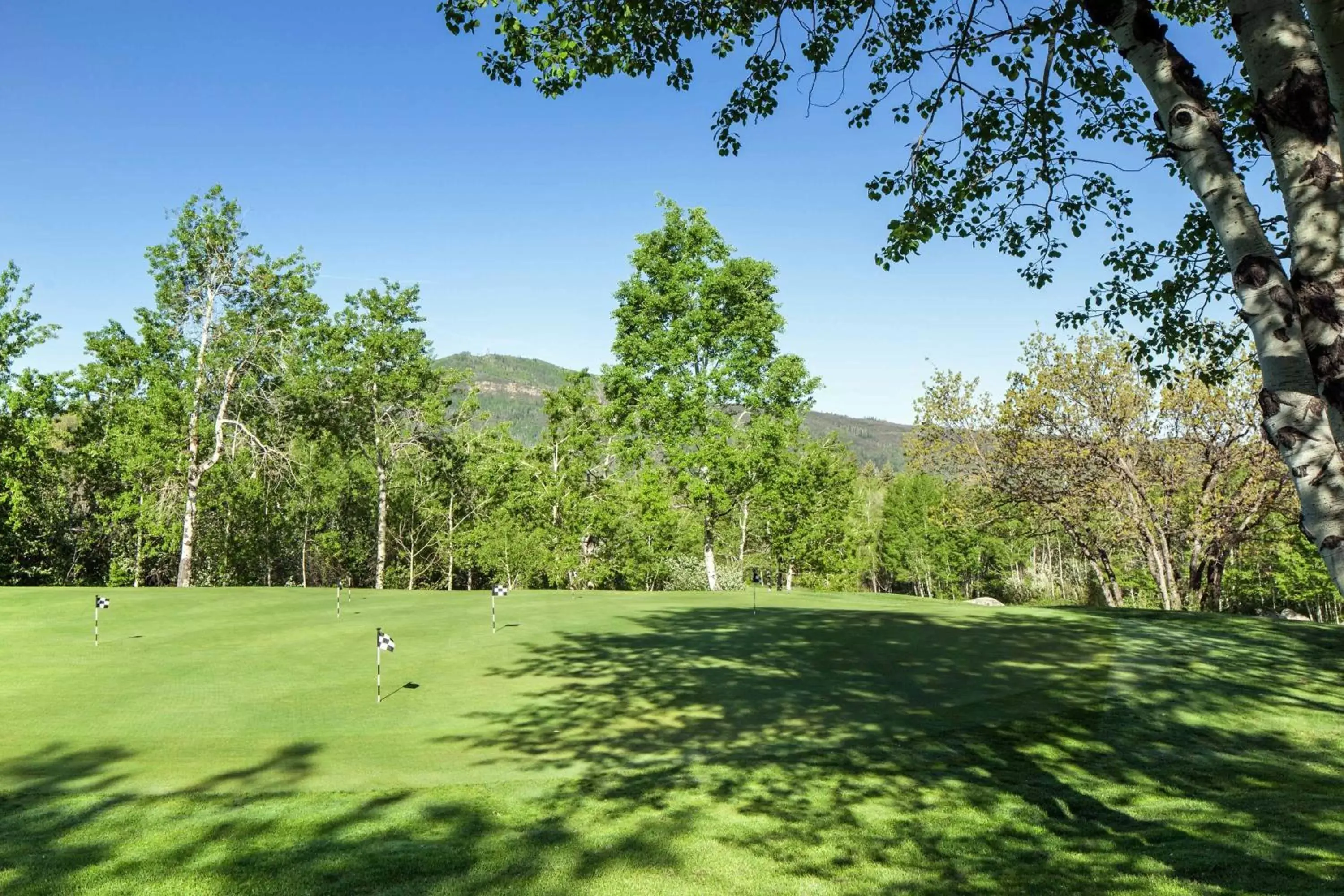 Golfcourse, Garden in Sheraton Steamboat Resort Villas