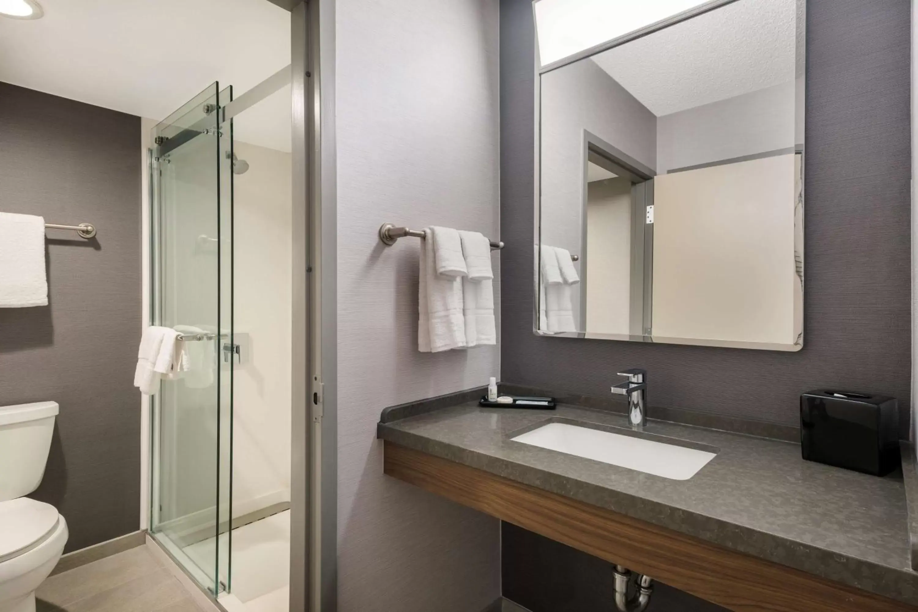Bathroom in Sonesta Select San Jose Airport