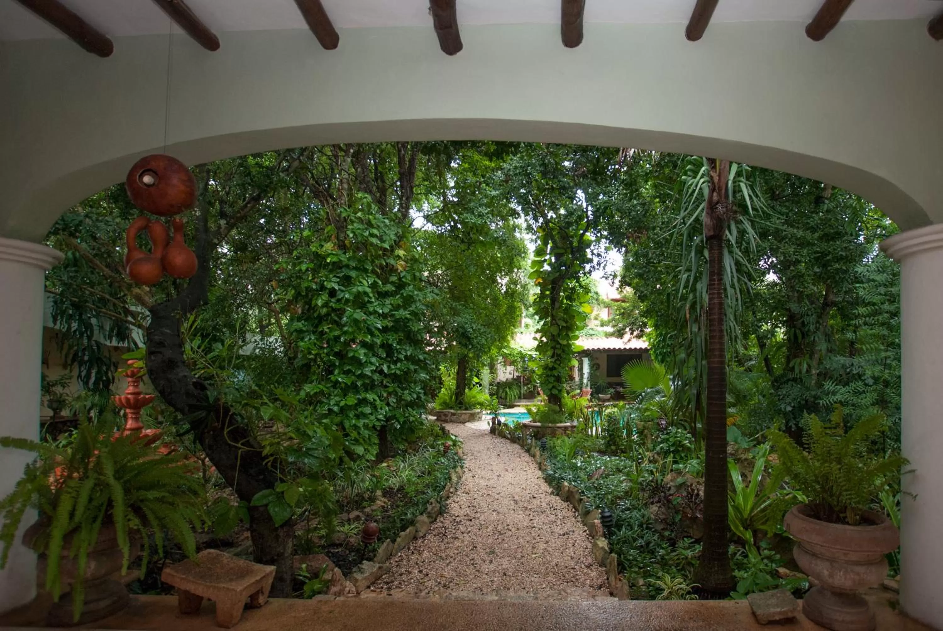 Garden in Casa Quetzal Hotel