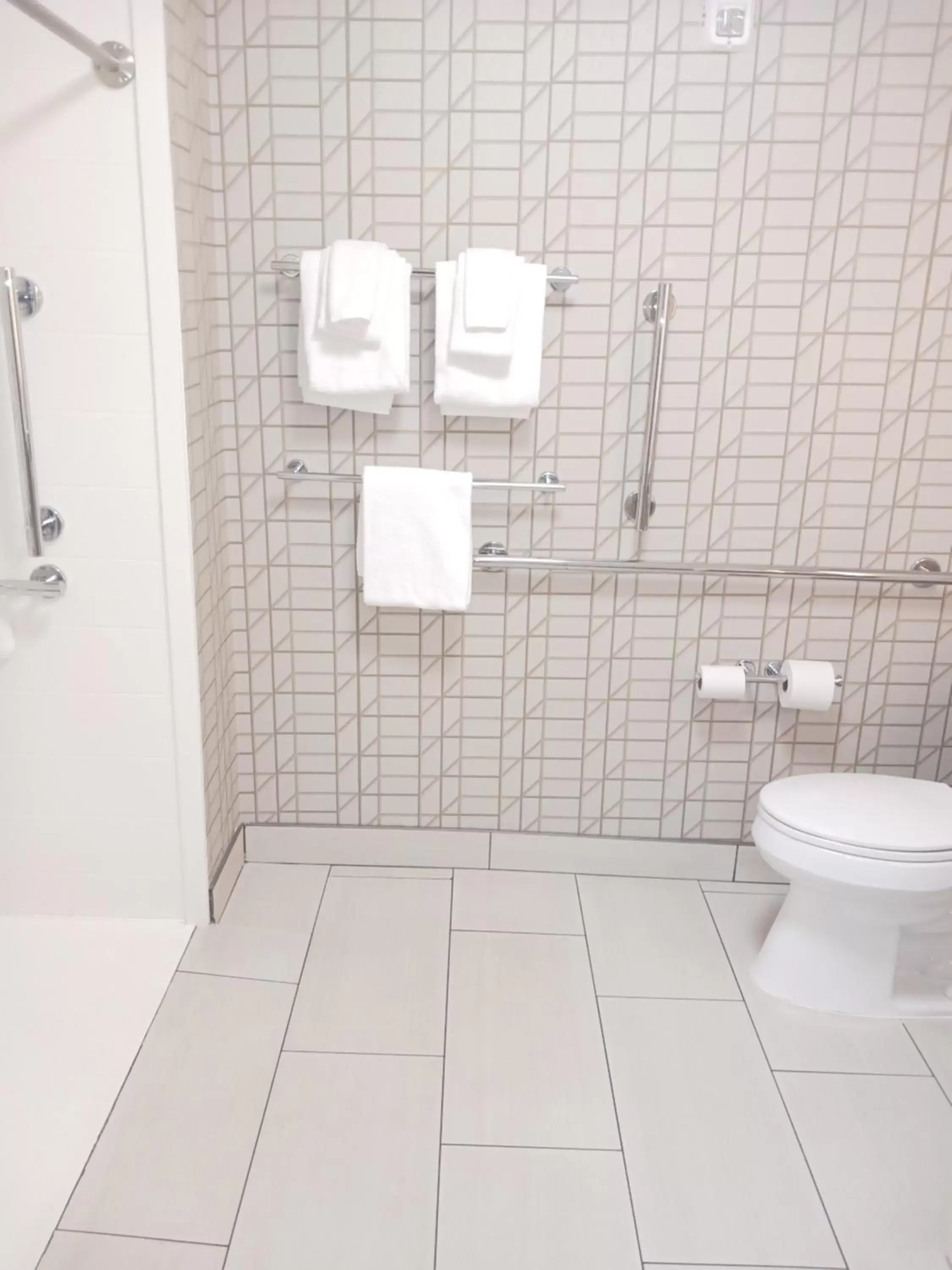 Toilet, Bathroom in Holiday Inn Express & Suites Gainesville - Lake Lanier Area, an IHG Hotel